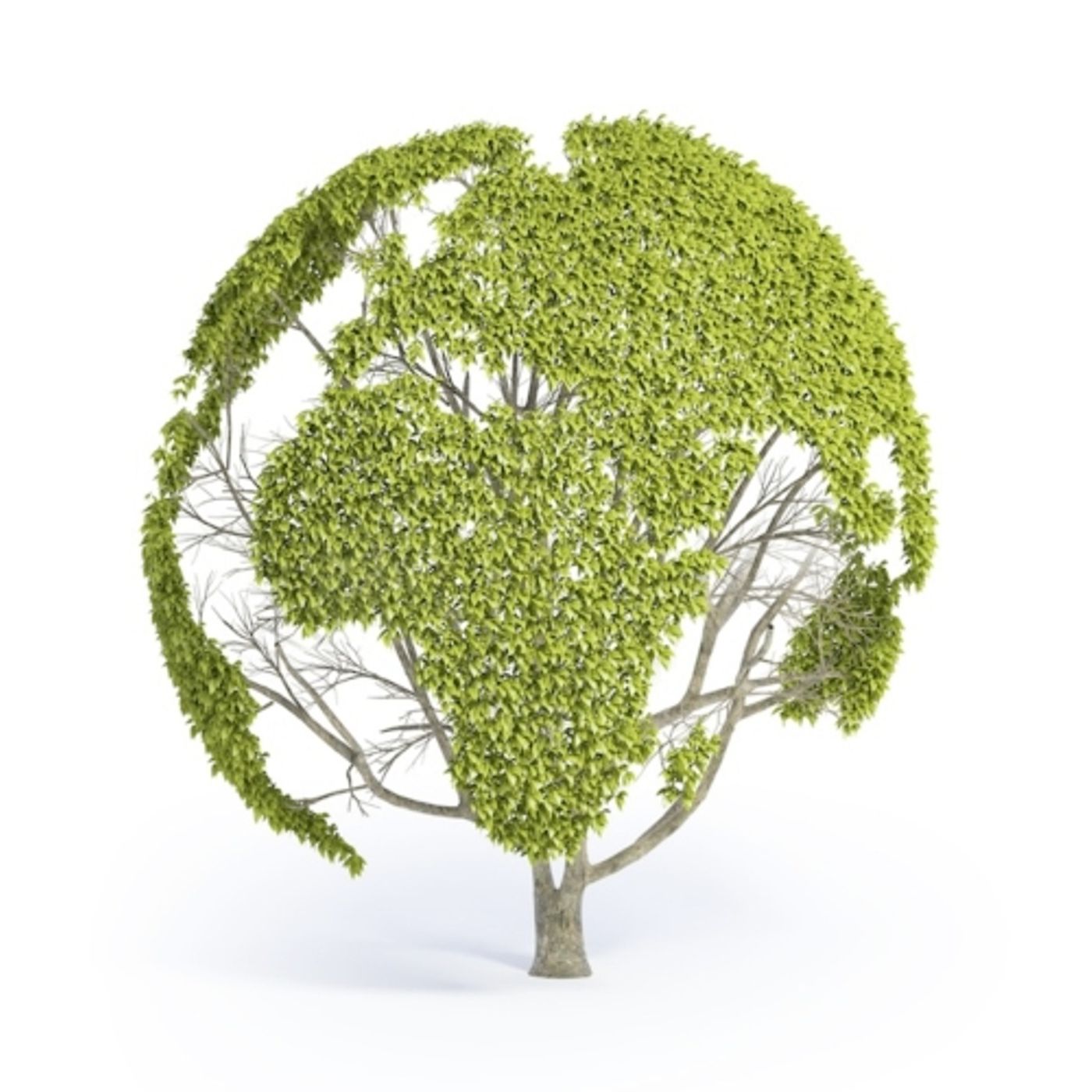 Il Miglio Verde