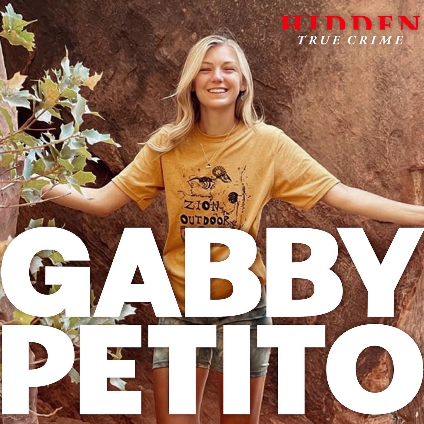 GABBY PETITO: Analyzing Brian Laundrie's Confession Note with Criminal Psychologist episode artwork