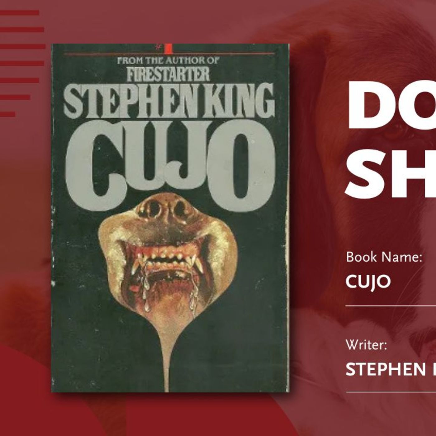 CUJO (the book) - Does It Shine? episode artwork