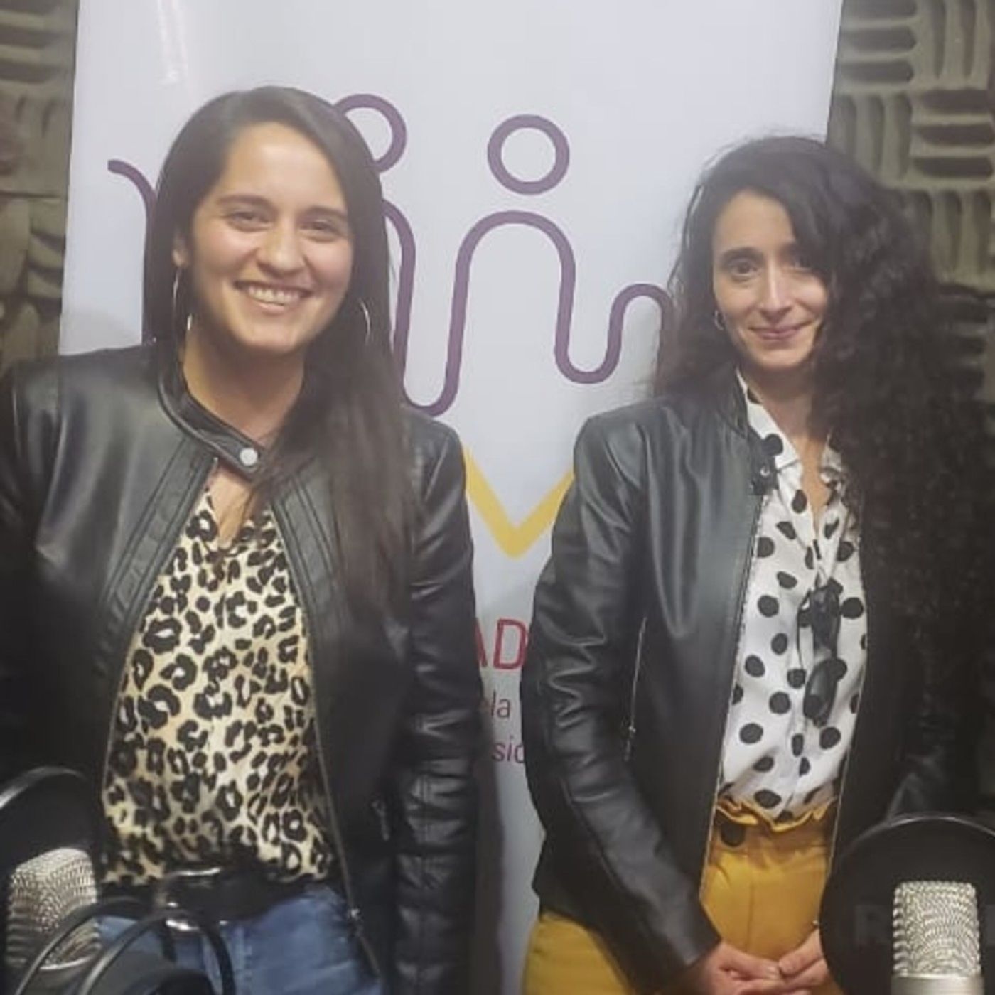 América Solidaria visita Chile a Todo Color episode artwork