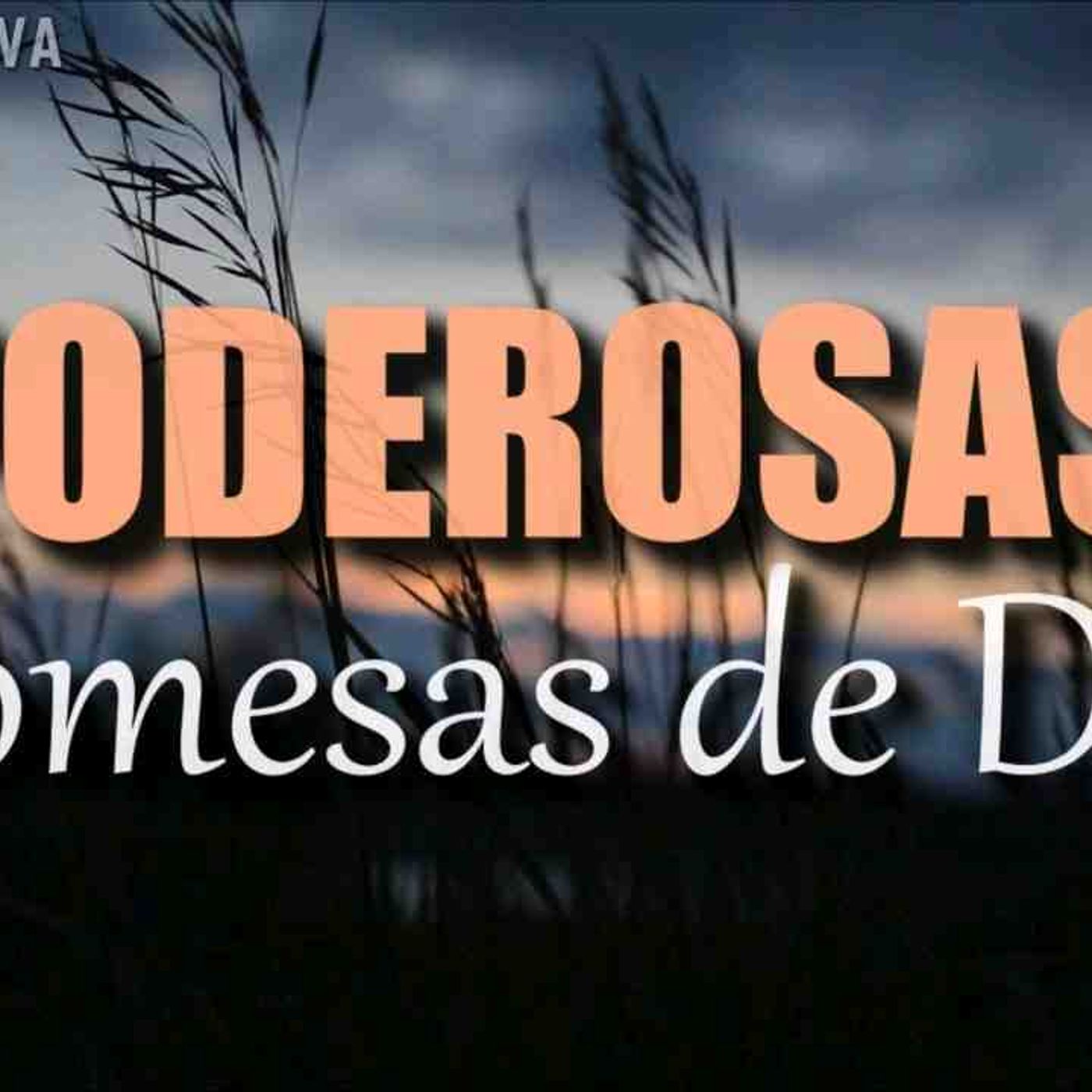 Versículos Bíblicos que cambiaran tu día _ Promesas de Dios _ Recibe Paz y Fe con la Palabra de Dios(MP3_160K)_2