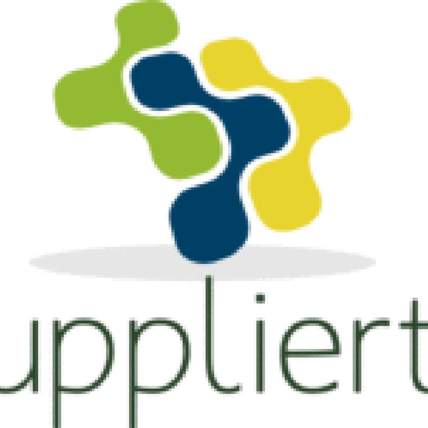 The Diversity Report