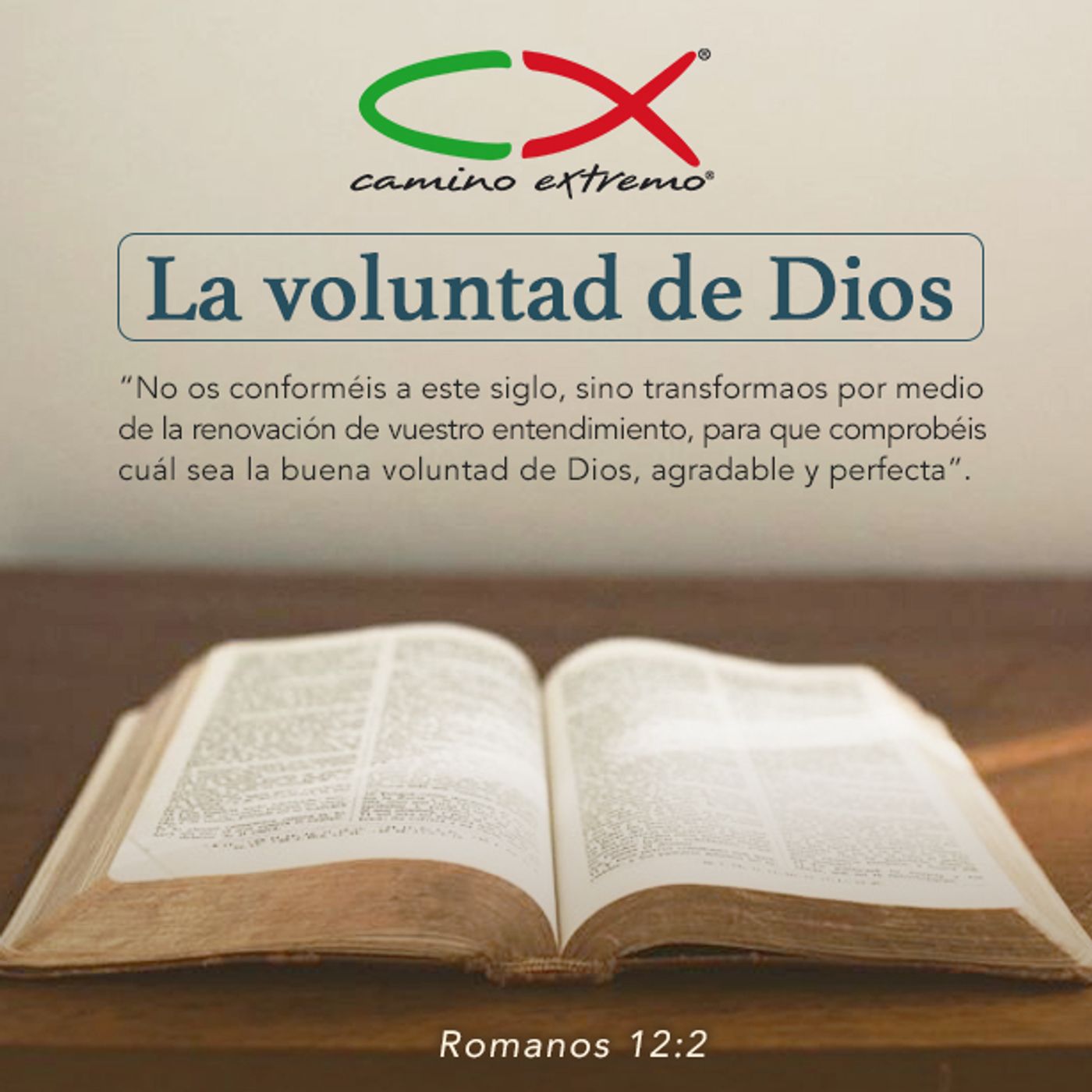 Oración 5 de enero (La voluntad de Dios) episode artwork
