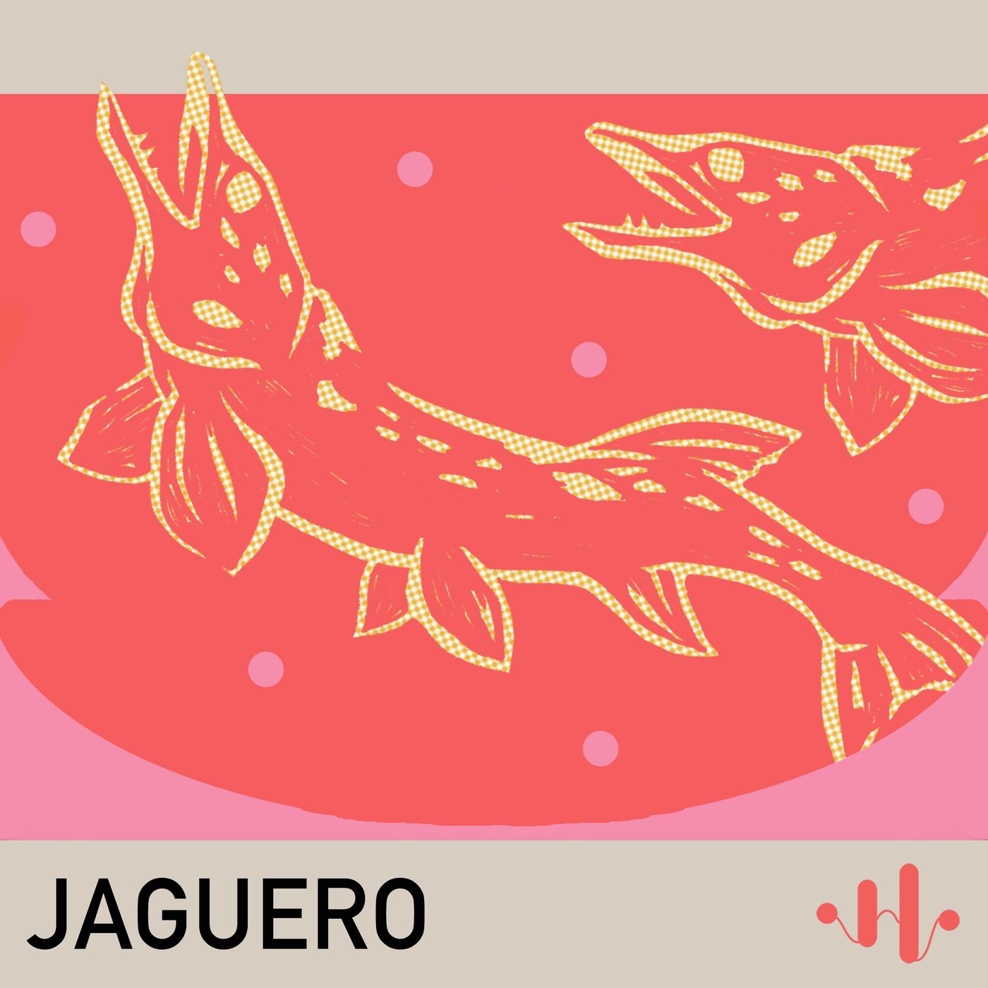 A tu per tu con i Jaguero episode artwork