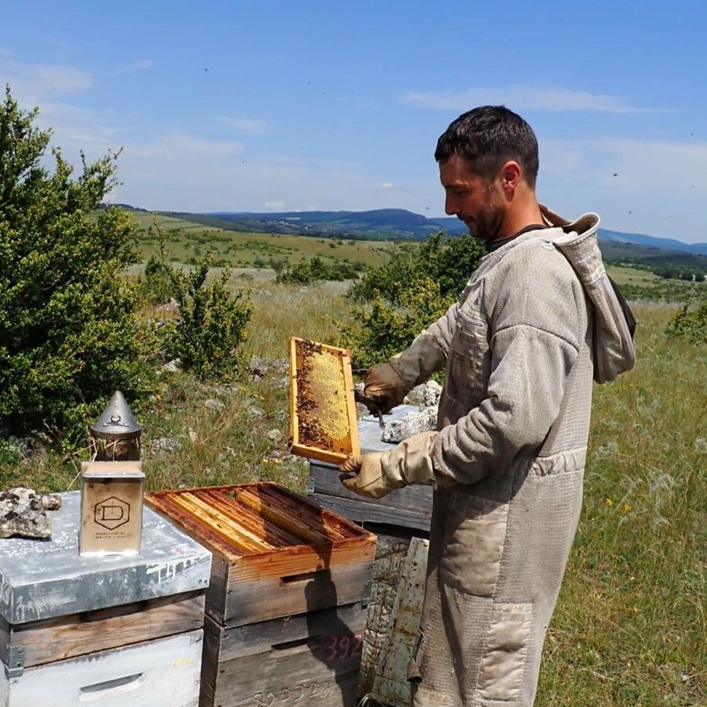 Le Vigan fête la nature les 10-11 et 12 octobre prochain (Miel et Frigoule)