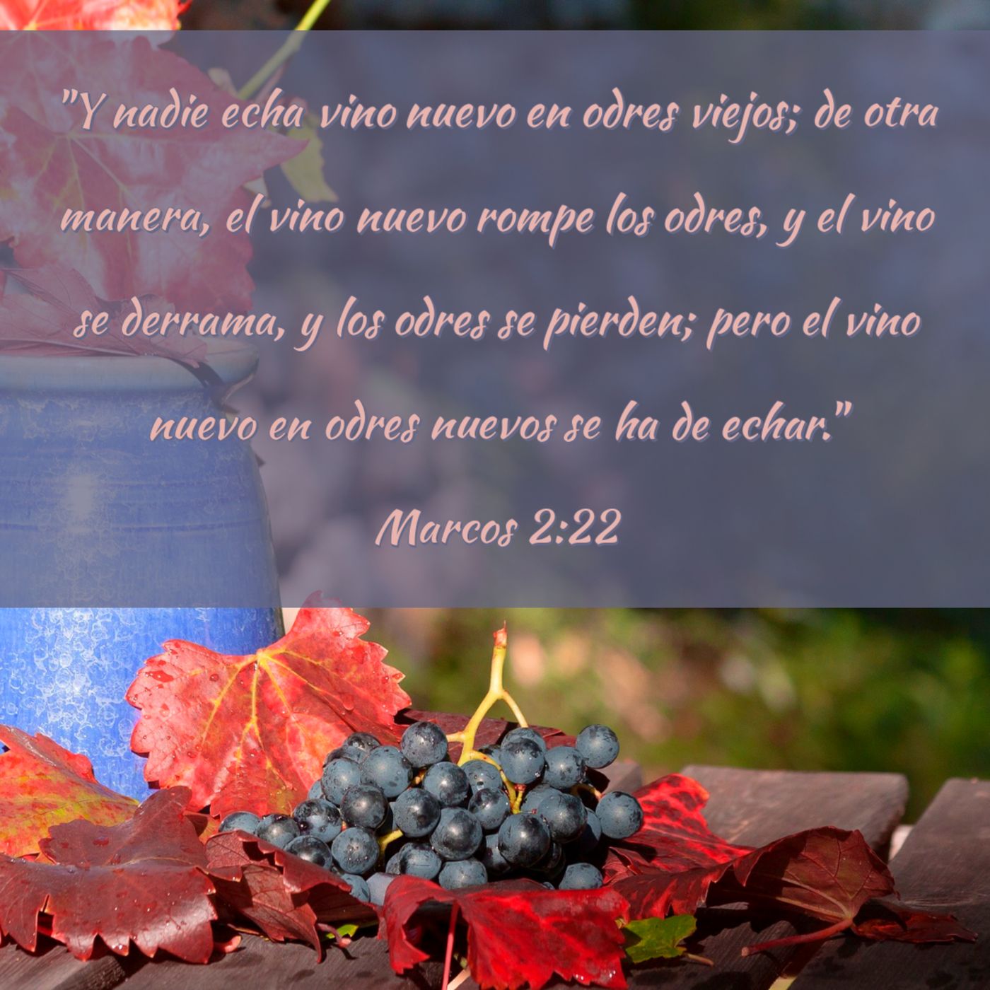 Evangelio de Marcos