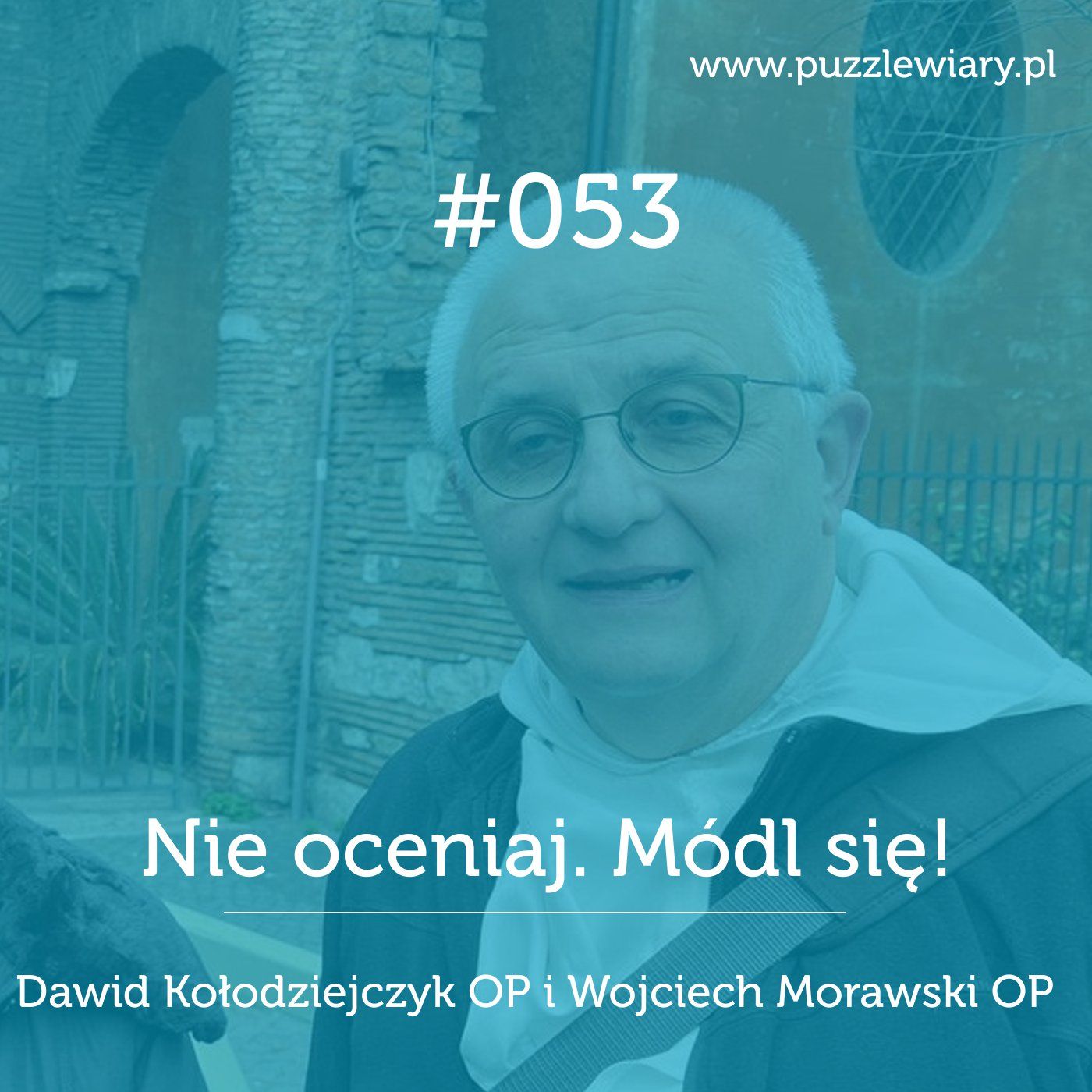 Puzzle Wiary