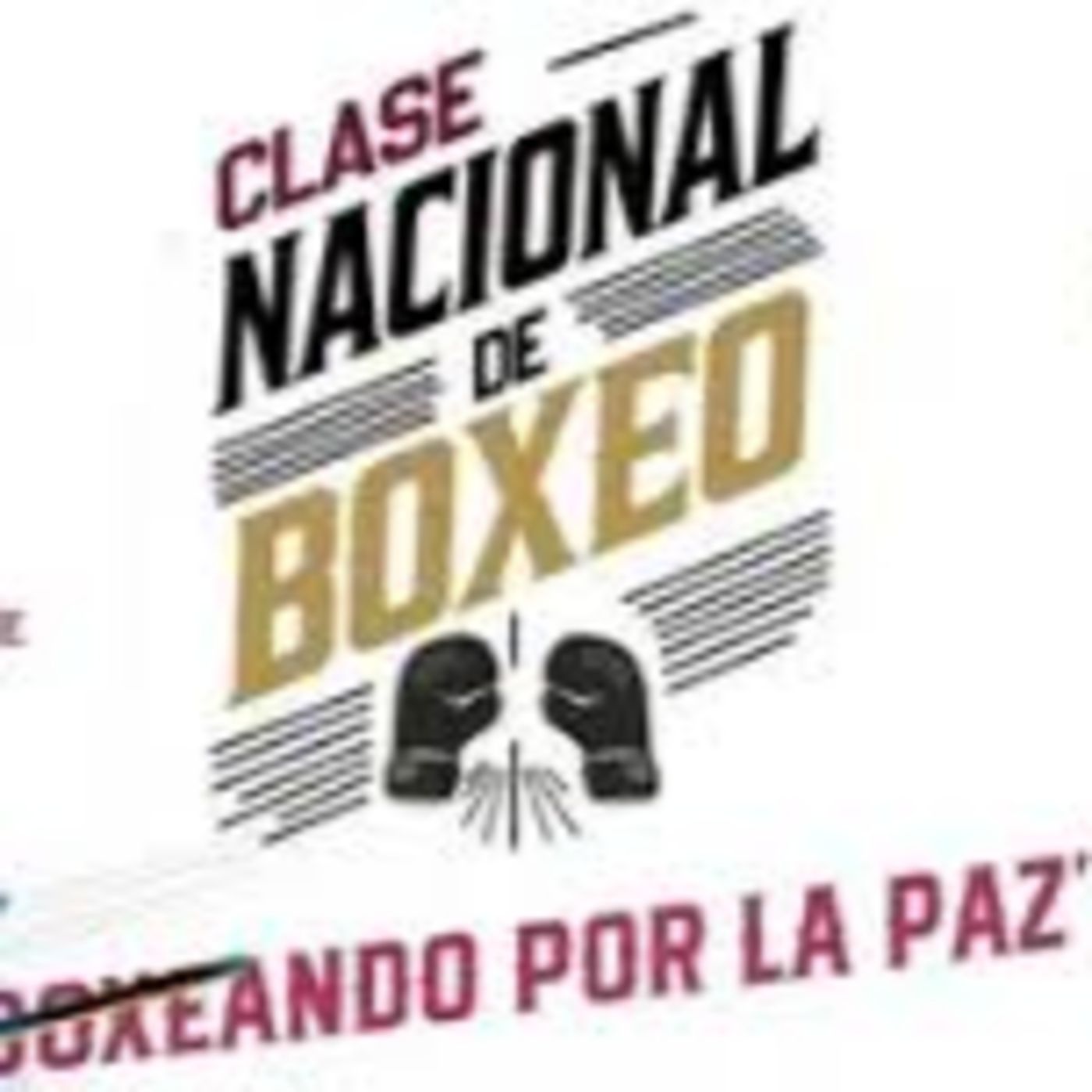 Clase Nacional de Boxeo vs Violencia y Adicciones