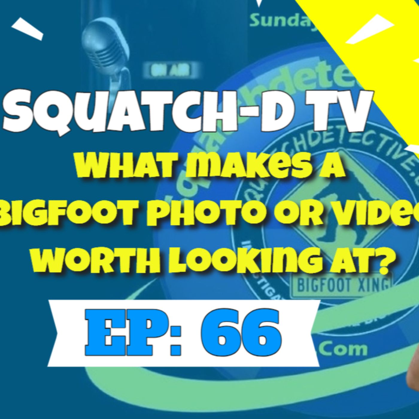 The Bigfoot Mystery - Squatch-D TV