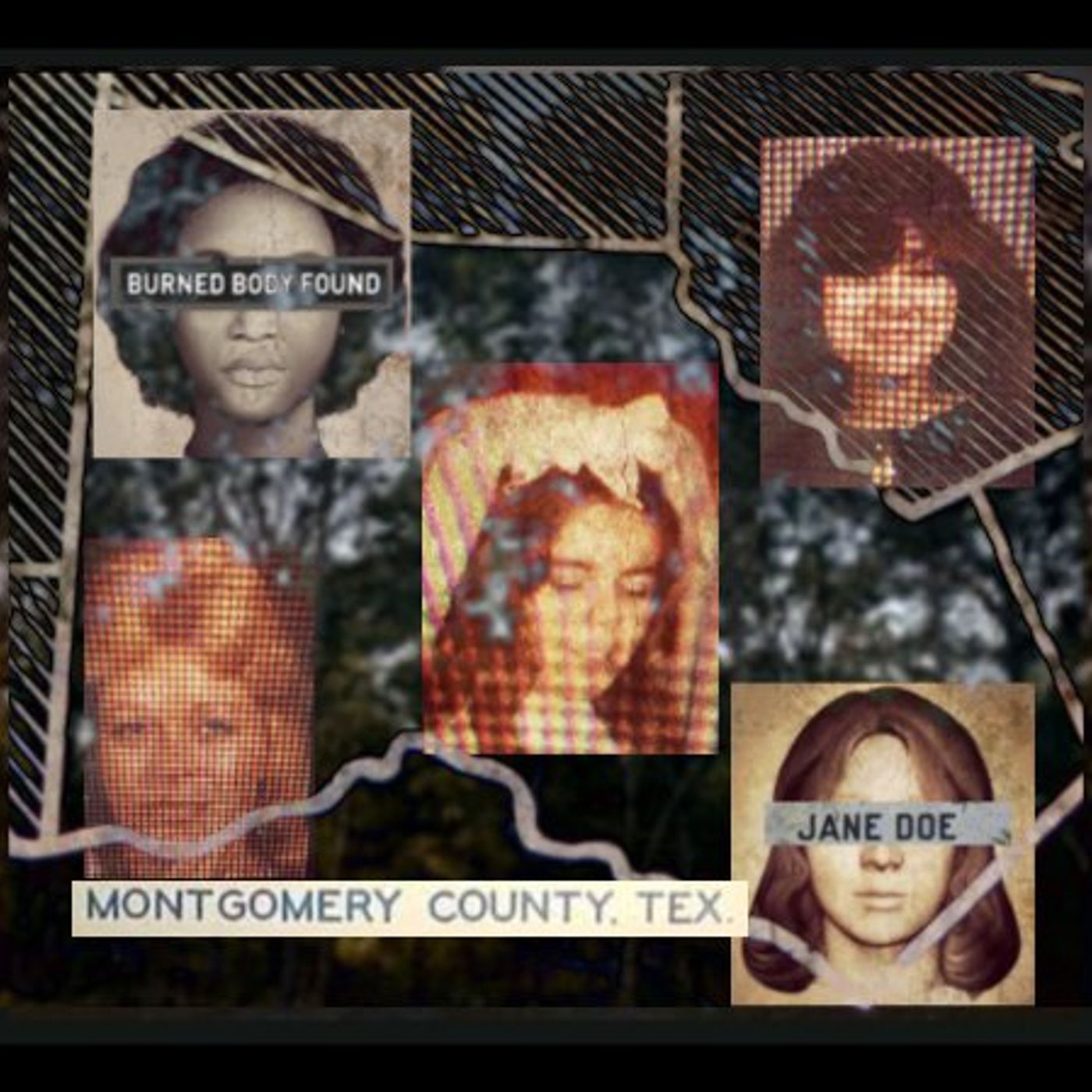 The Killing Fields of Montgomery County
