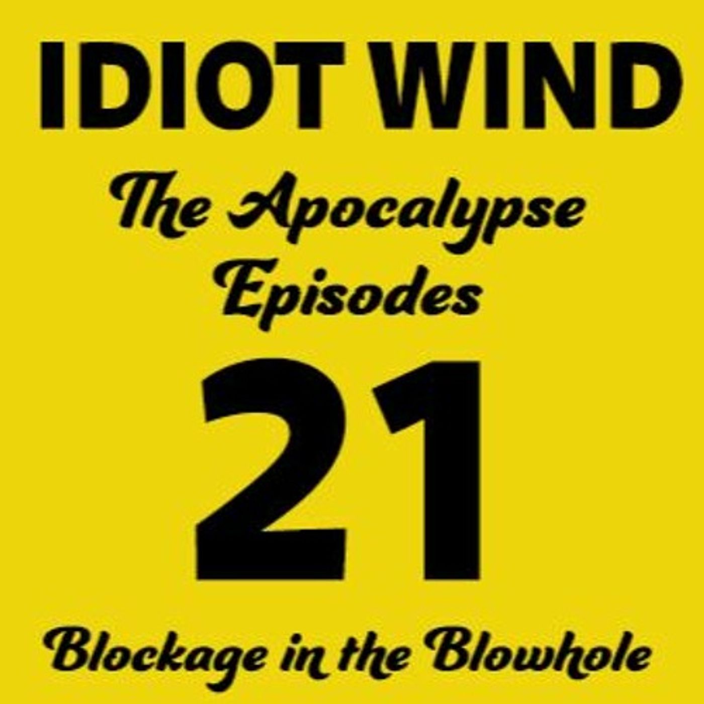 Idiot Wind Panel Show