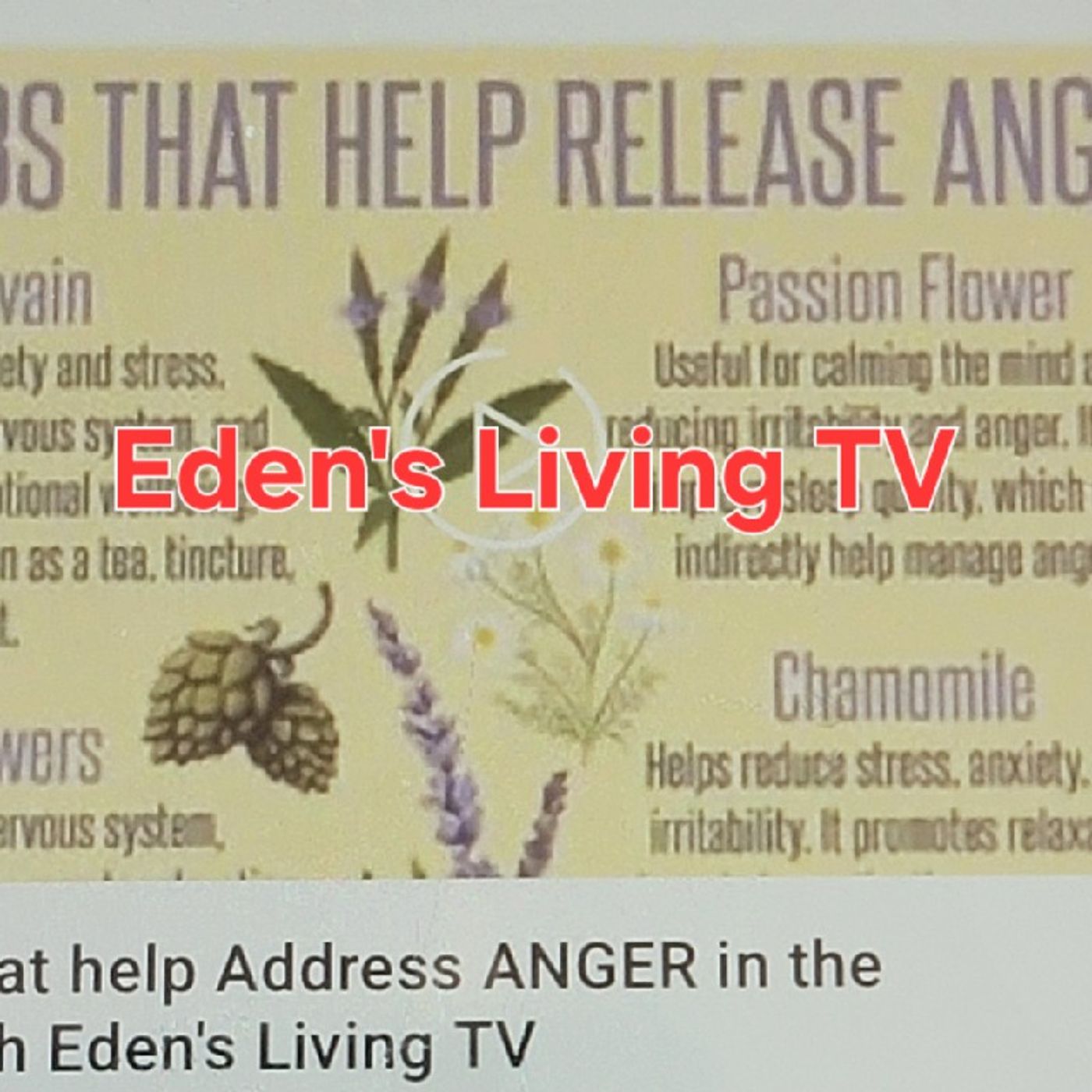 Eden\'s Living TV~podcasts