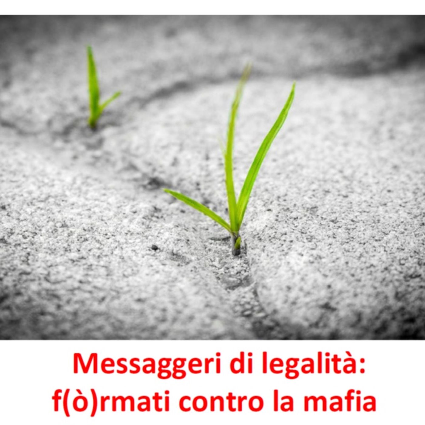 Messaggeri di legalità