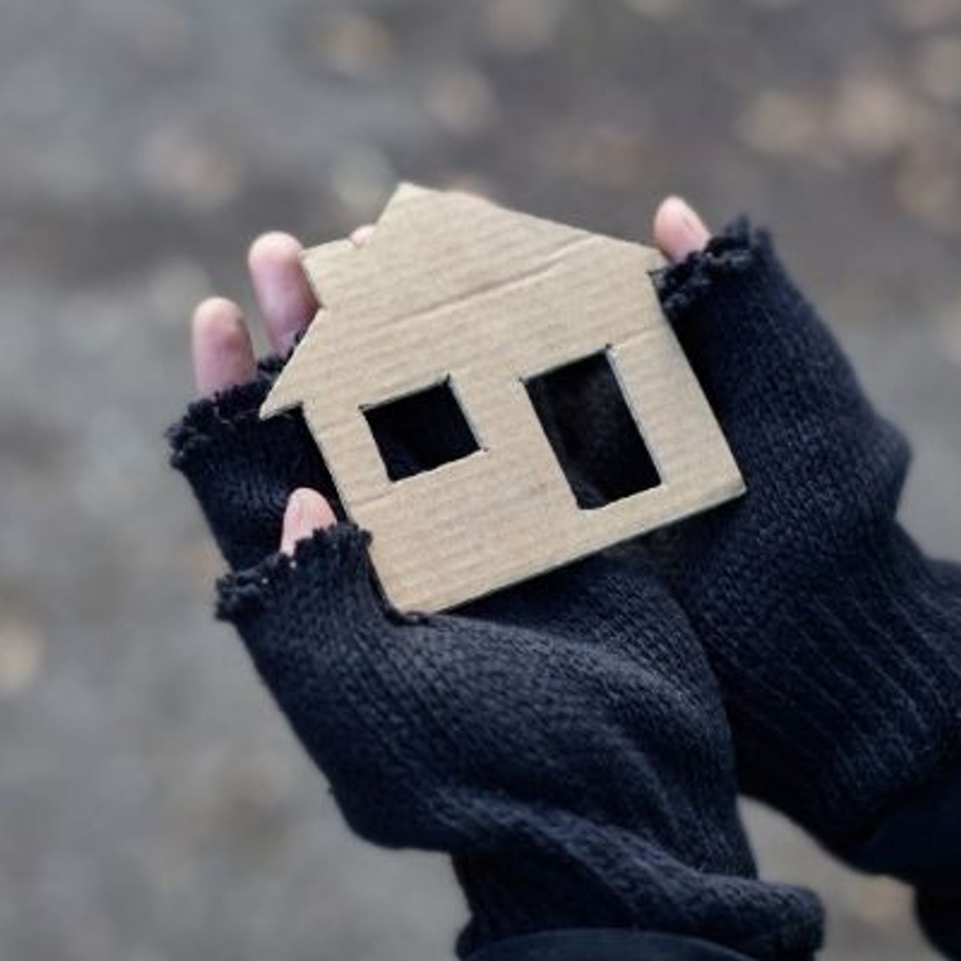La Maison : un village de tiny houses pour réinsérer les SDF episode artwork