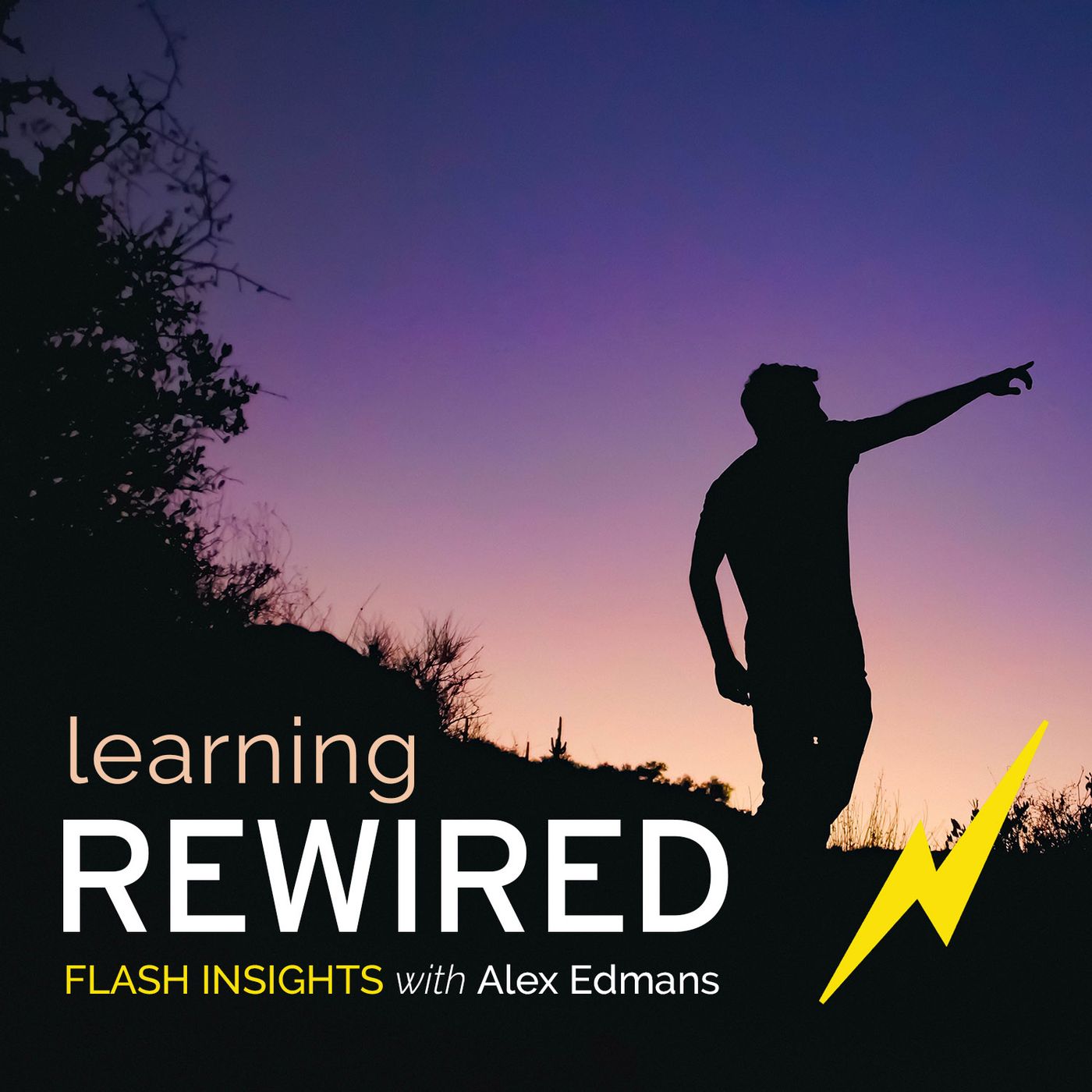 Executive Learning REWIRED