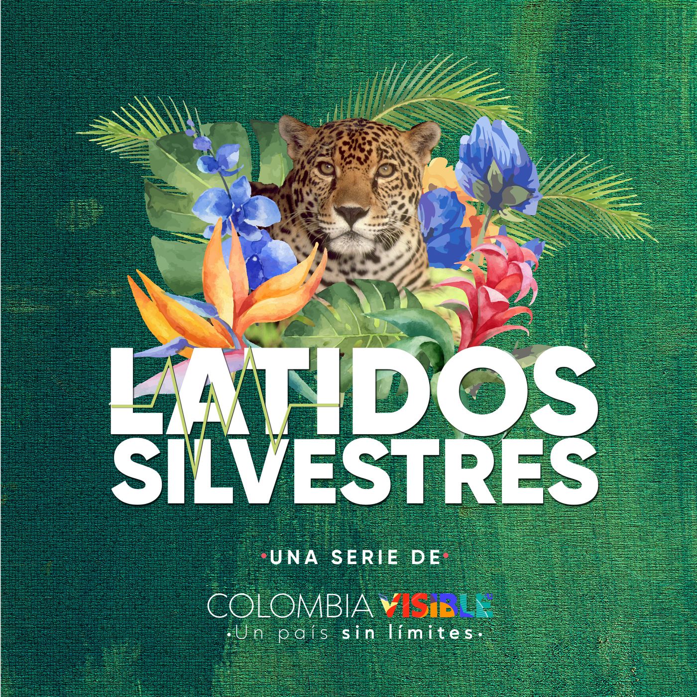 Colombia Visible