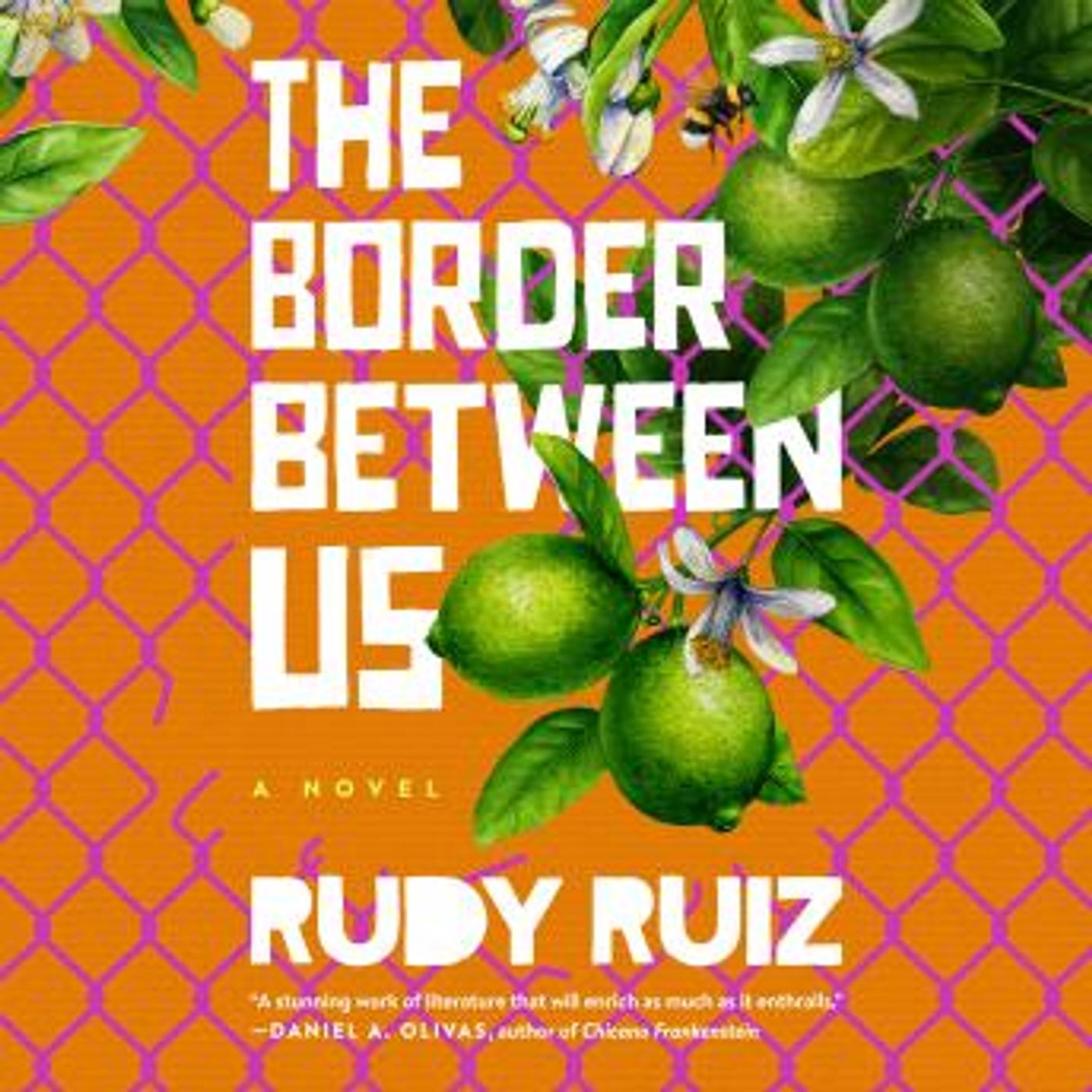 Enjoy Amazing Free Audiobooks in Fiction, Coming of Age