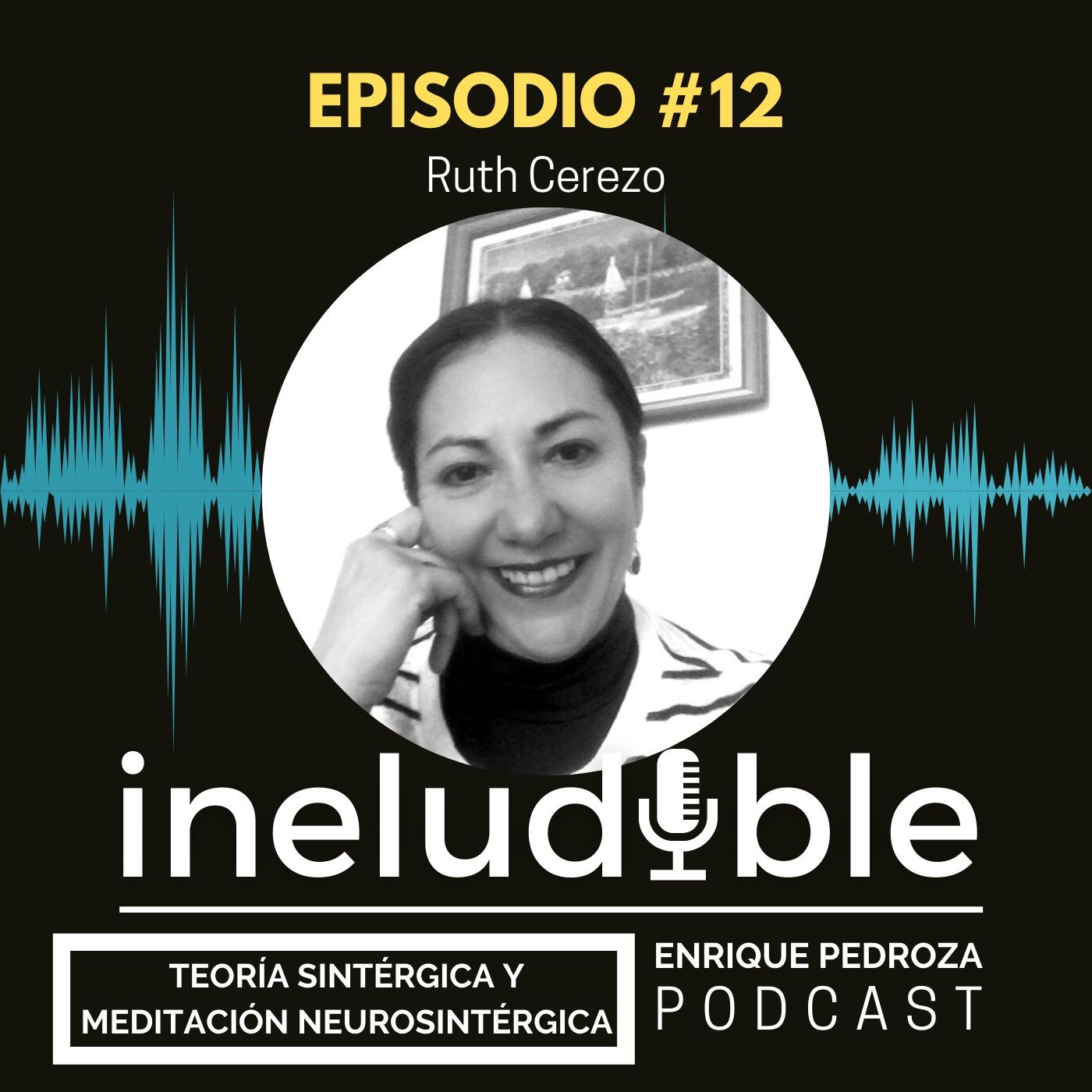 Episodio  #12 Teoría Sintérgica y Meditación Neurosintérgica episode artwork