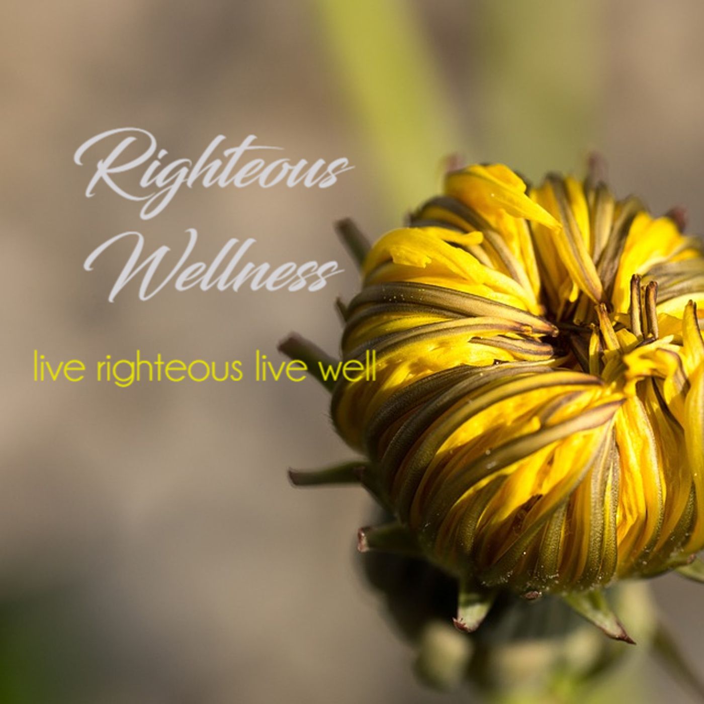 Righteous Wellness