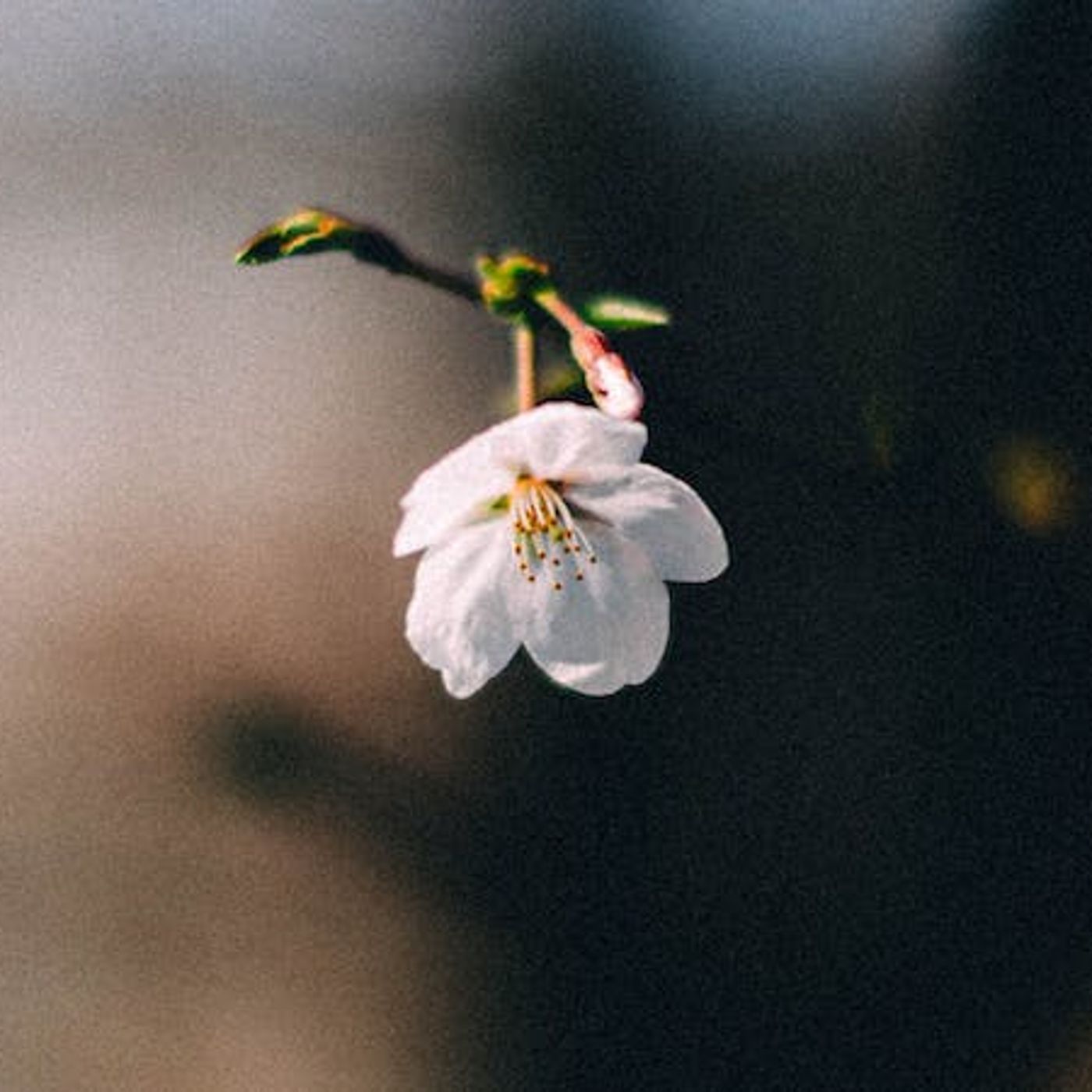 I Feel Unappreciated — How Should I Respond?