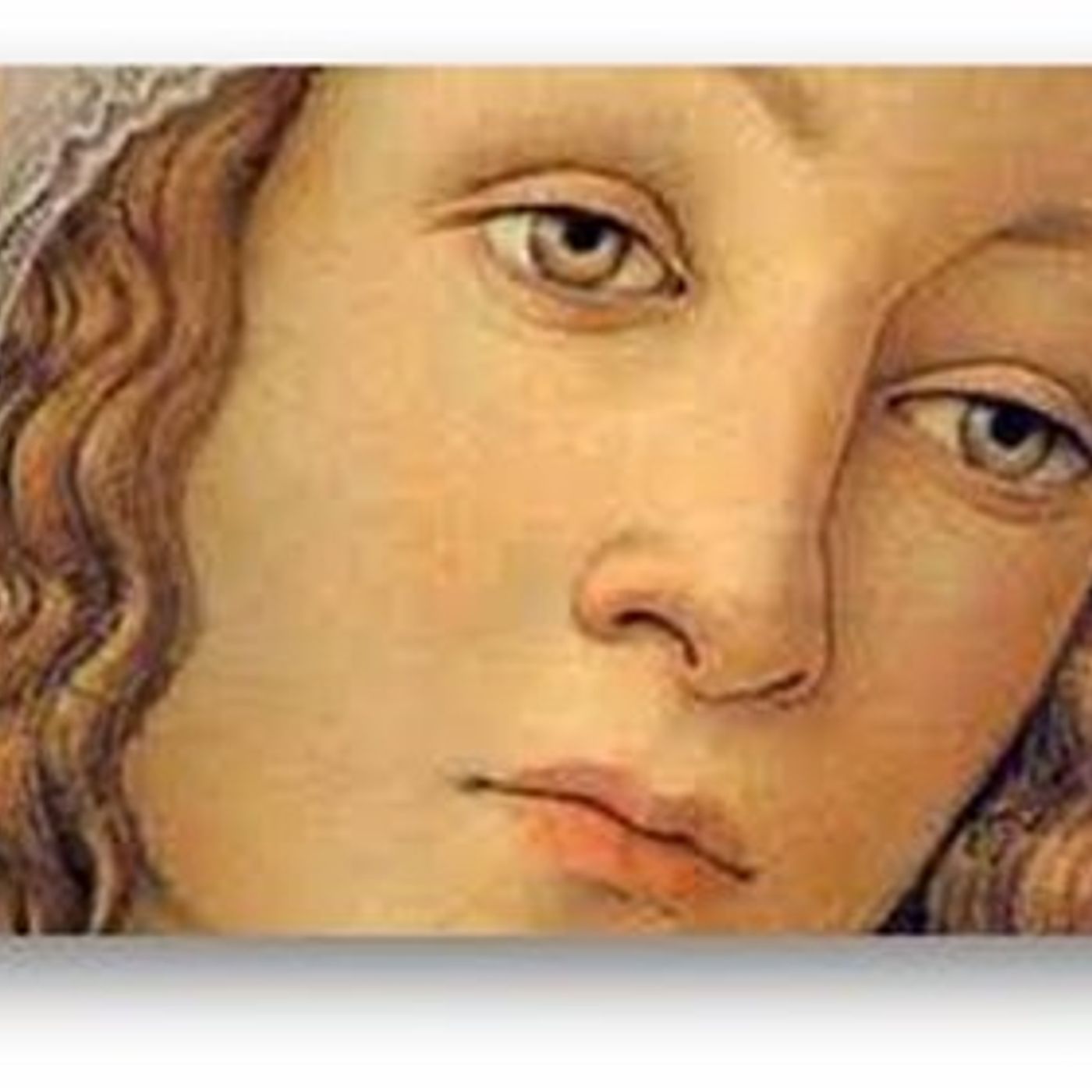 Le preghiere di San Francesco d\'Assisi