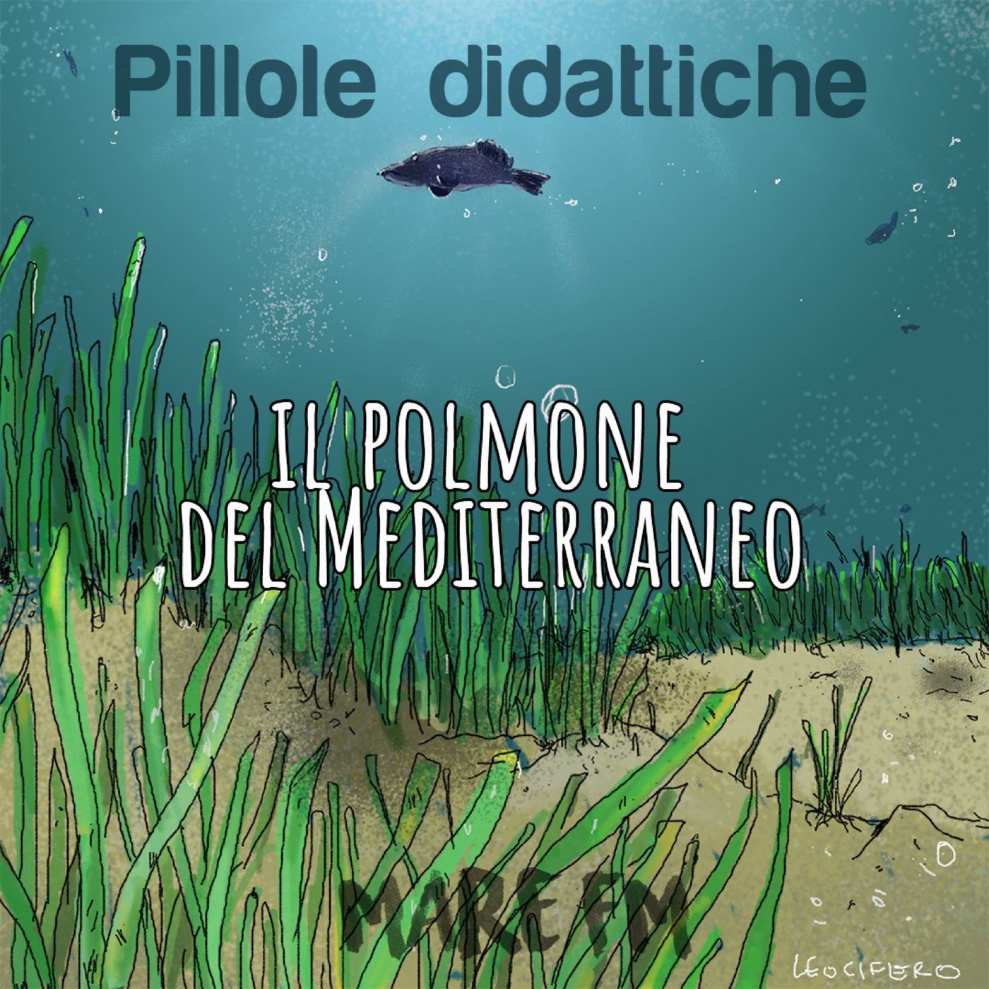 Mare FM