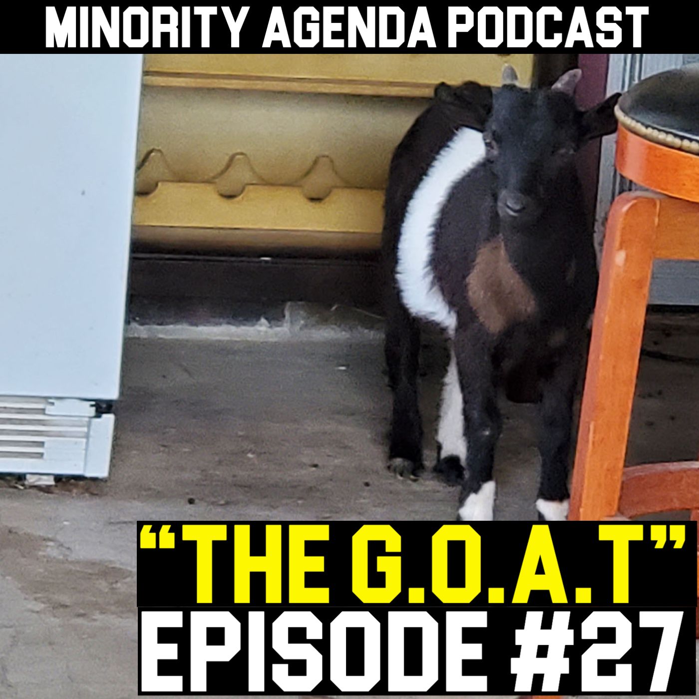Minority Agenda Podcast