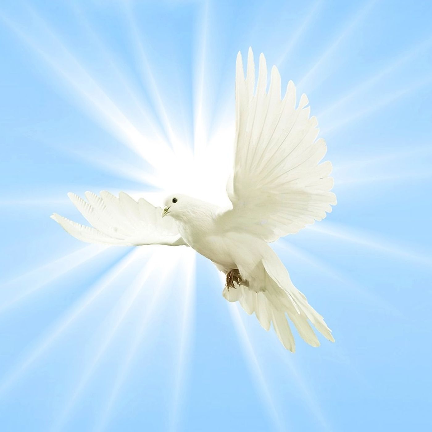 Mornings with holy spirit