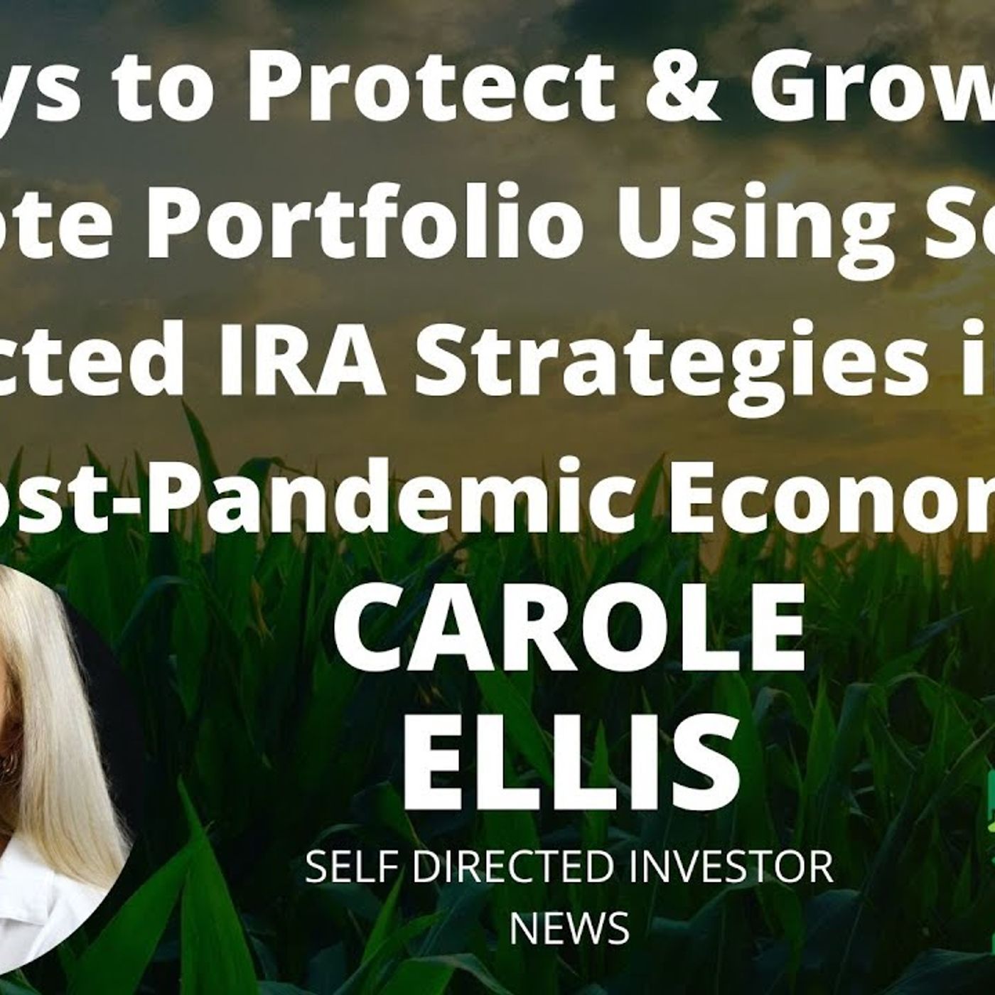 Three Ways to Protect & Grow Your Portfolio Using SD IRA Strategies with Carole Ellis