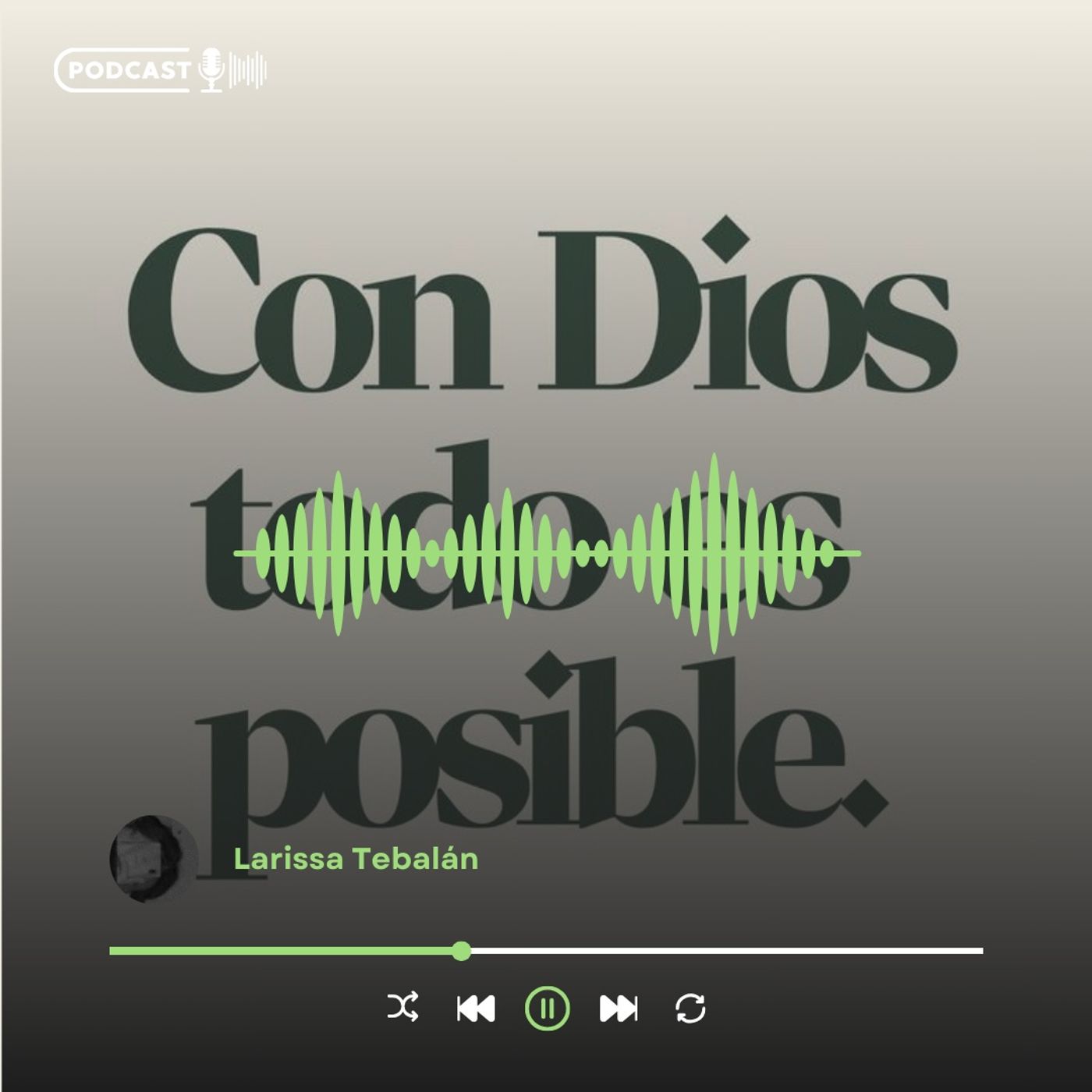 El Cristianismo y los valores sociales podcast artwork
