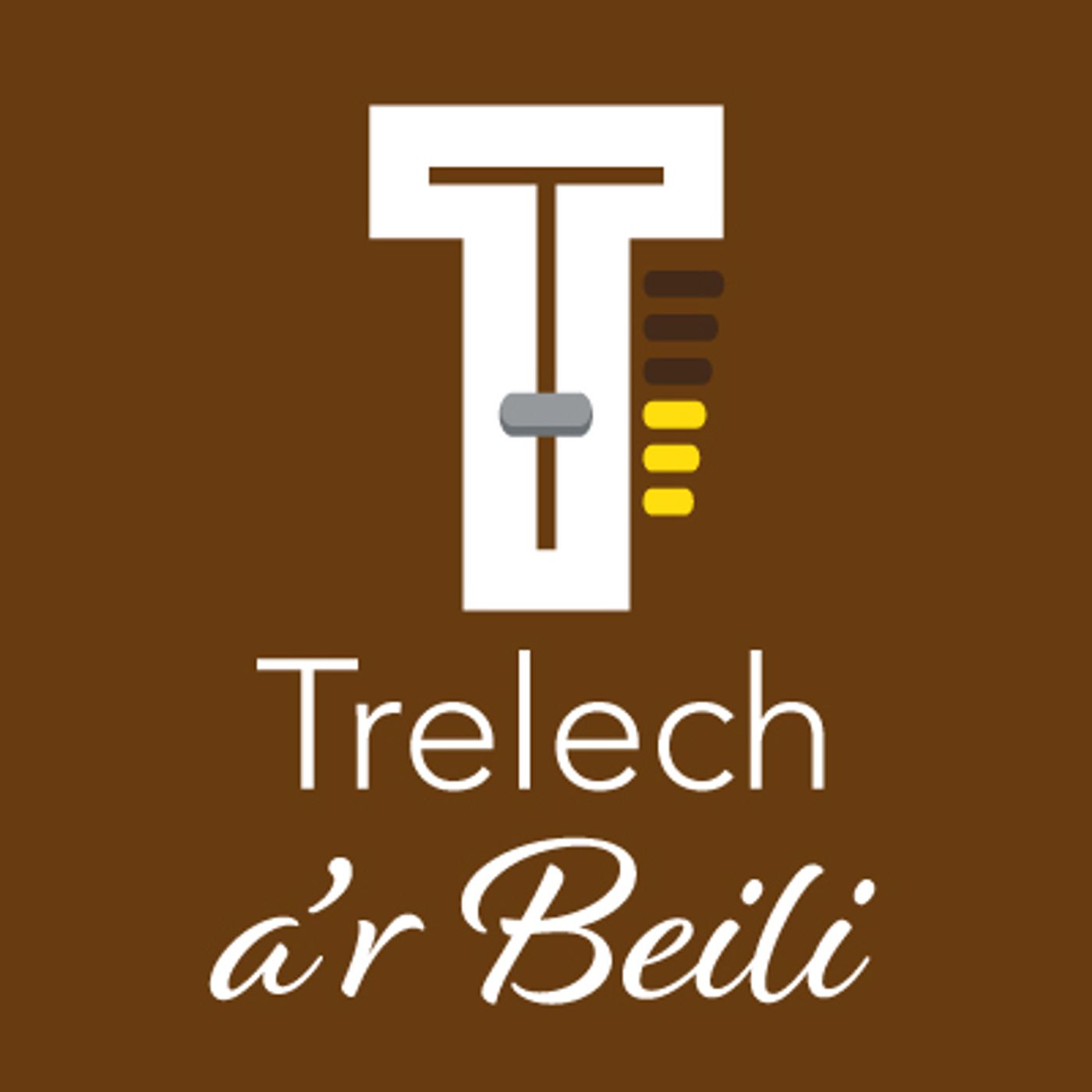 Trysorfa Trelech - Ysgol Hafodwenog