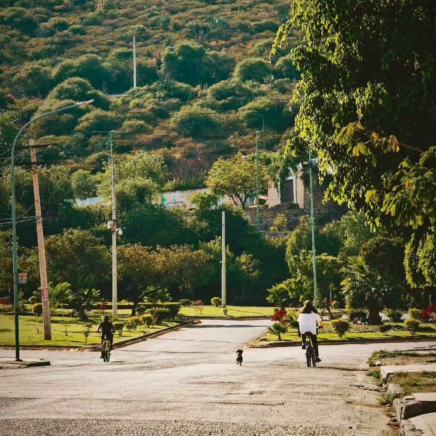 Canción de otoño en primavera podcast artwork