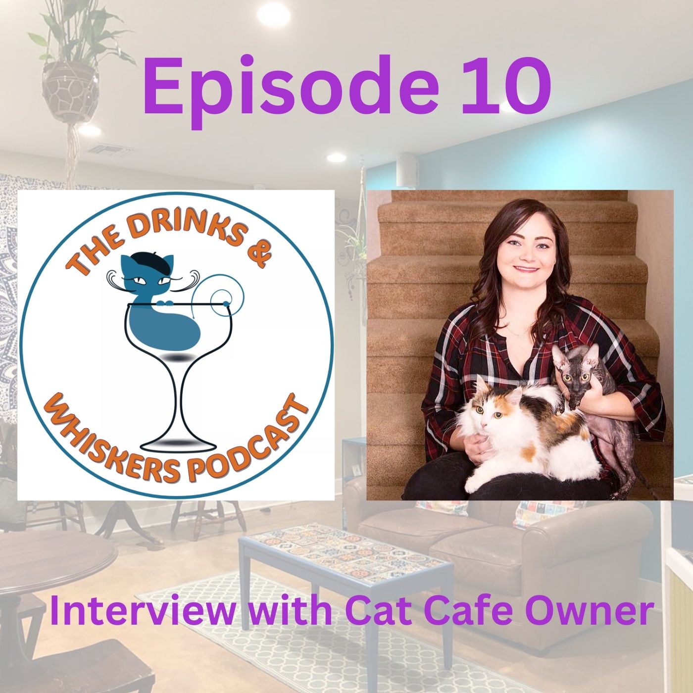 The Drinks & Whiskers Podcast