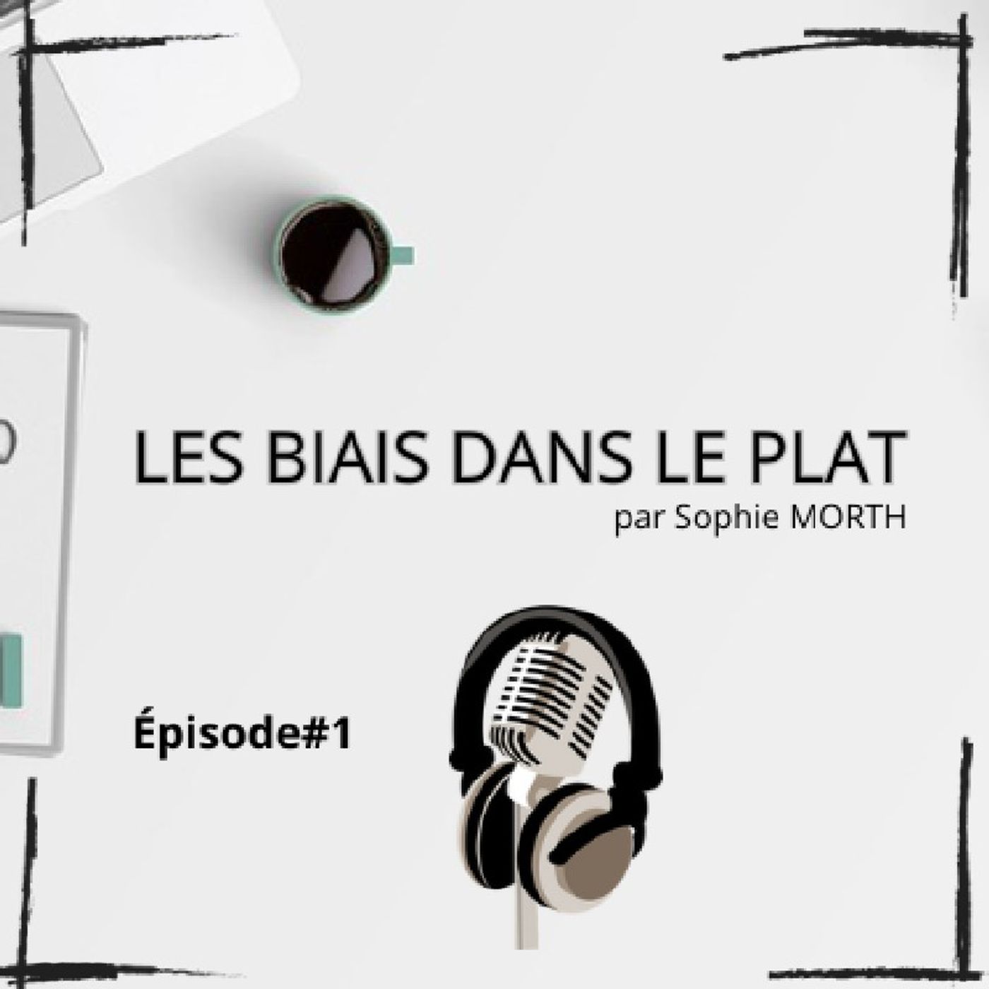 Épisode #1 : Pourquoi Les Biais Dans Le Plat ? Bienvenue