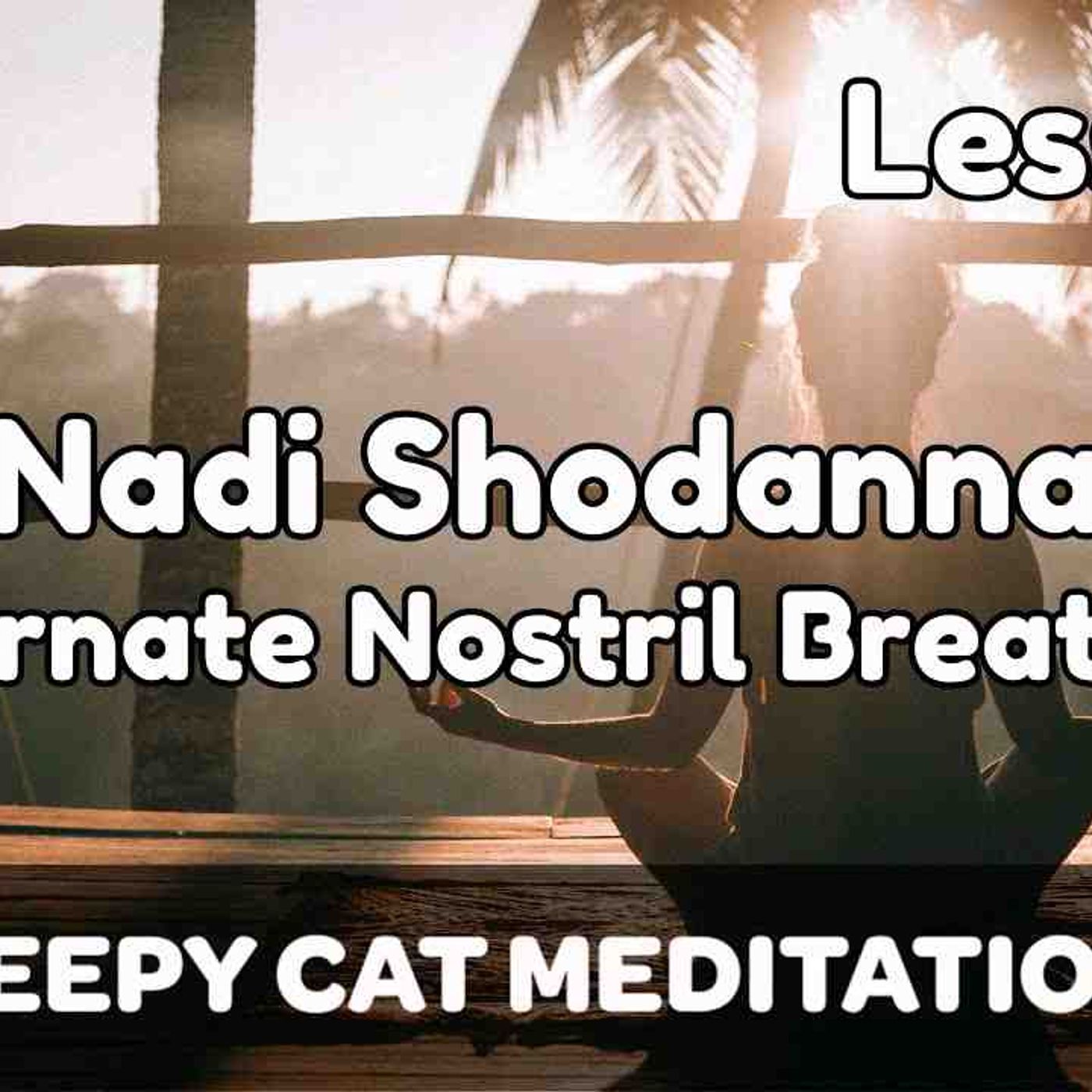 Lesson 4_ Alternate Nostril Breathing _Nadi Shodhana_ (Beginner Breathwork Course)(MP3_160K) episode artwork