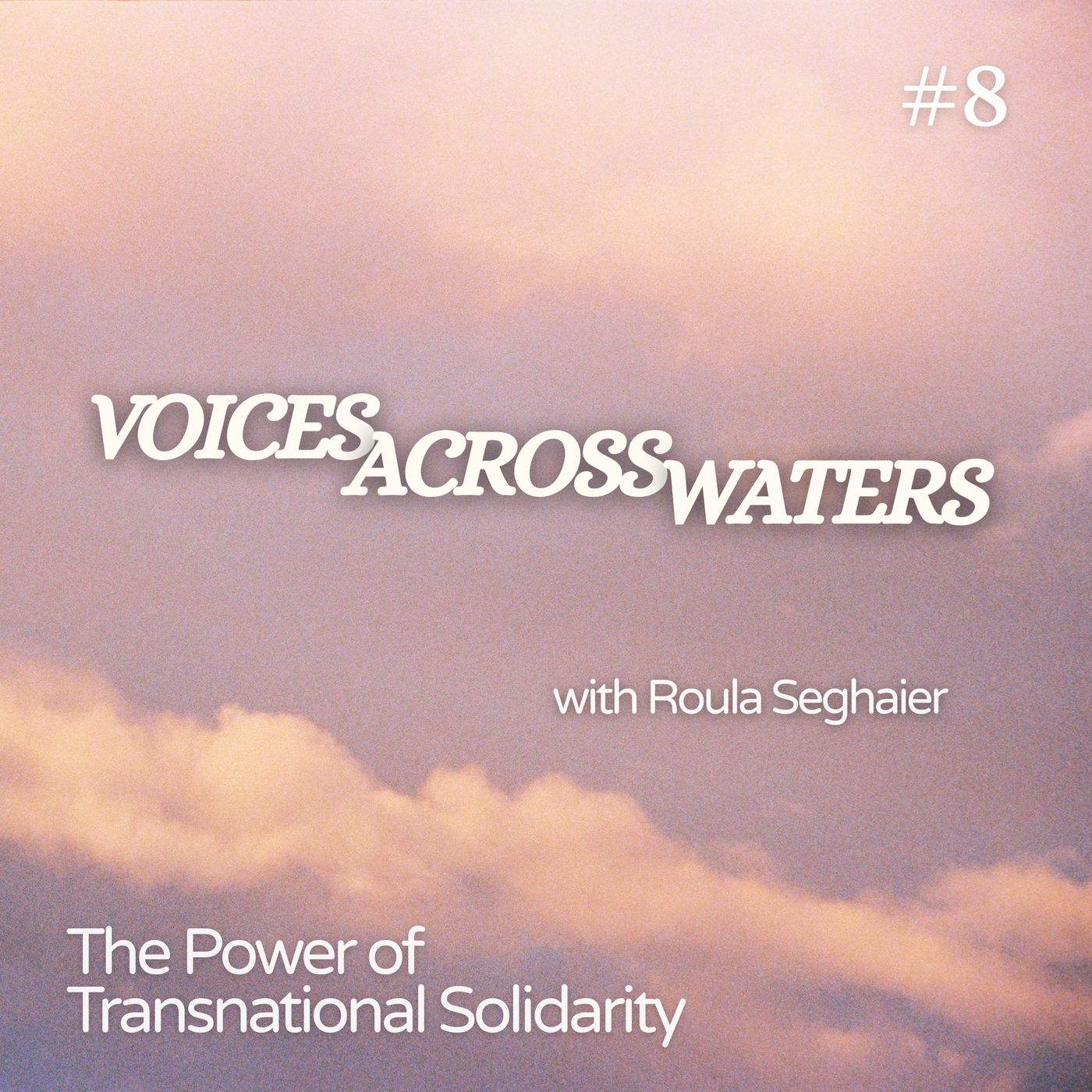 The Power of Transnational Solidarity episode artwork