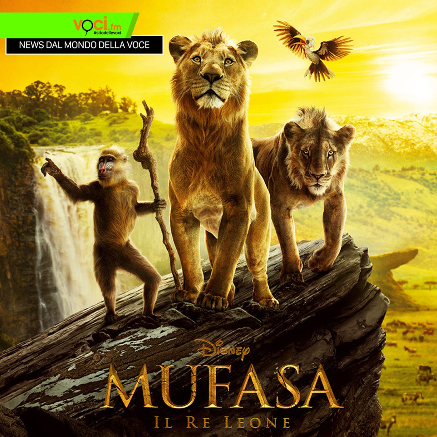 Clicca PLAY e ascolta la news sul DOPPIAGGIO DI "MUFASA: IL RE LEONE" episode artwork