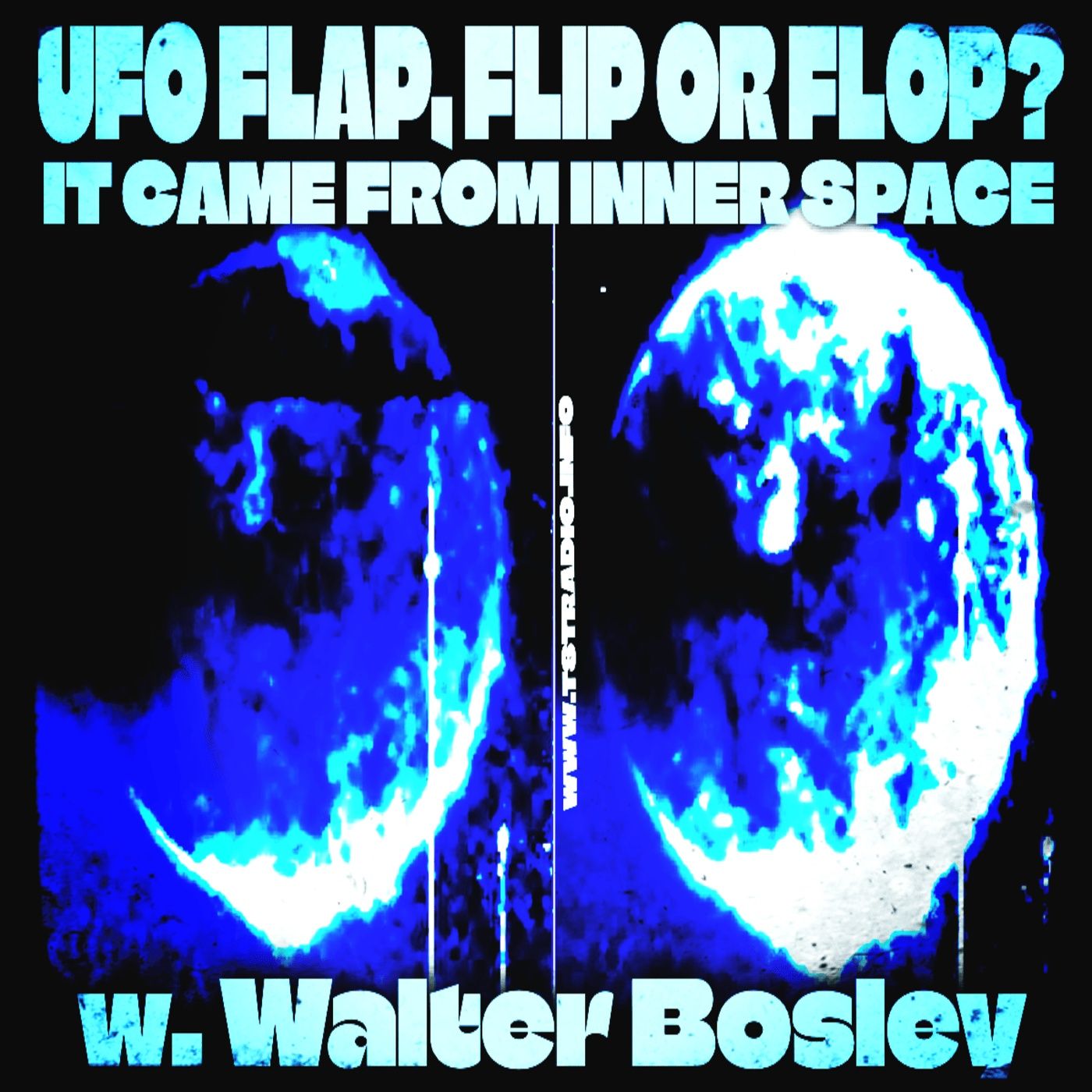 UFO Flap, Flip or Flop: It came from Inner Space w. Walter Bosley (12/5/24)