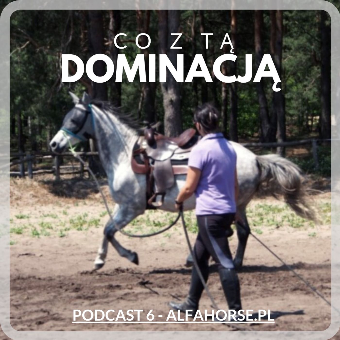Podcast 6: Co z tą dominacją?! episode artwork