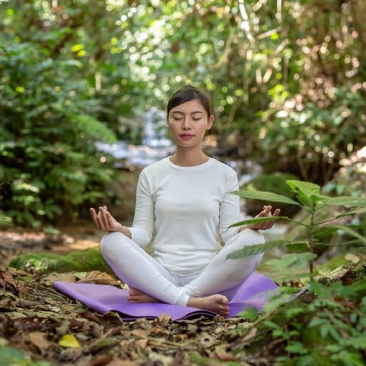 Nature, Peace, and Practice – Welcome to Bali’s Yoga Retreat Center episode artwork