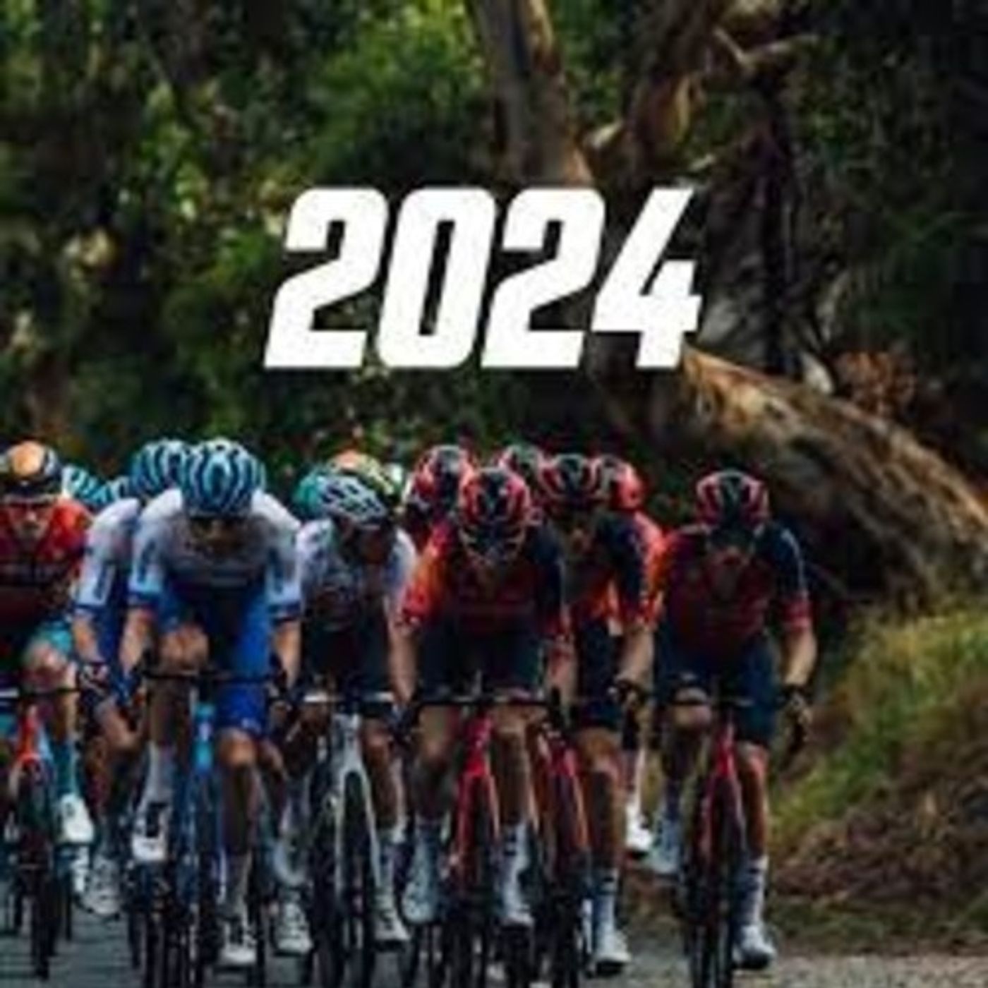 Tour Down Under assistant race director Annette Edmondson previews January's big event episode artwork
