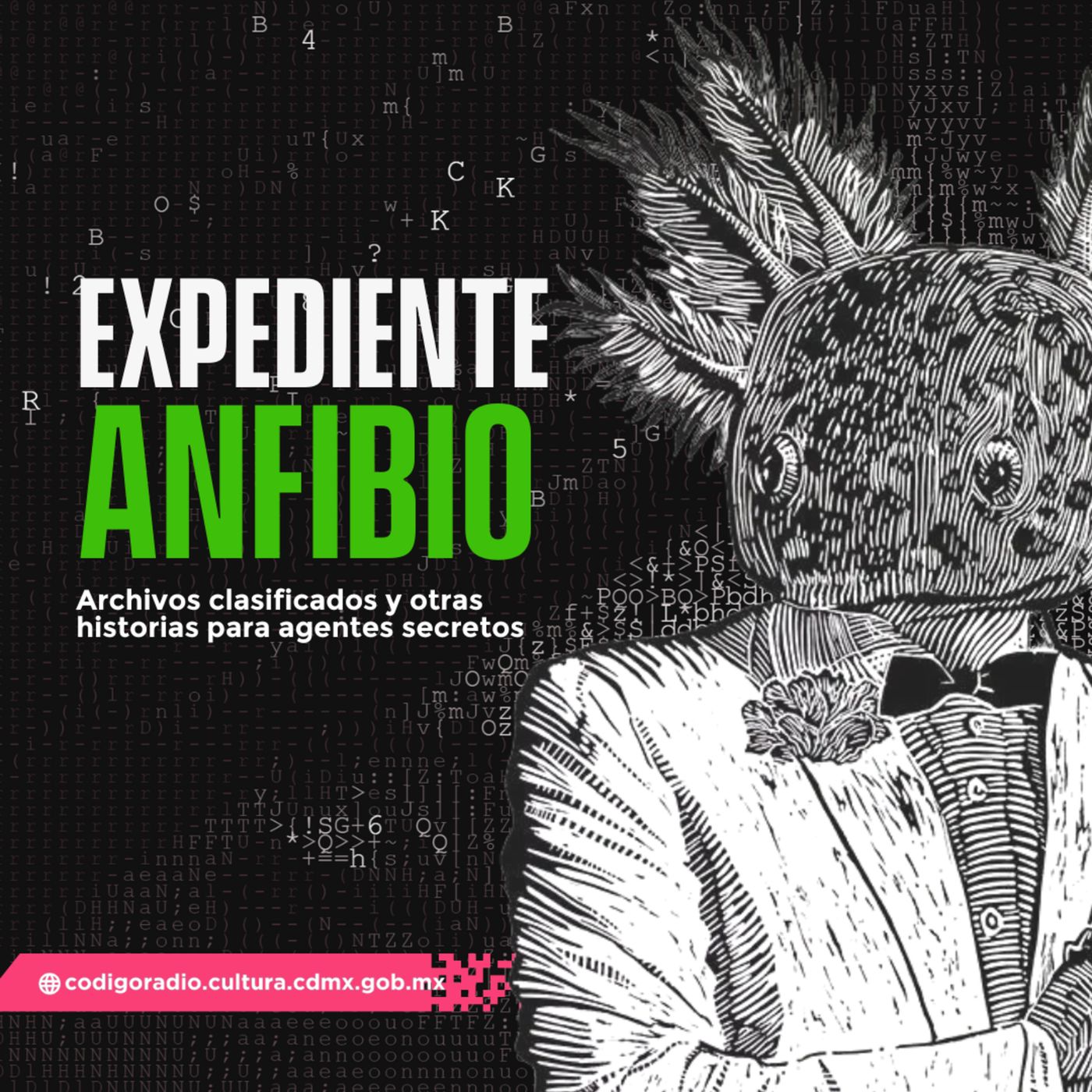 EXPEDIENTE ANFIBIO