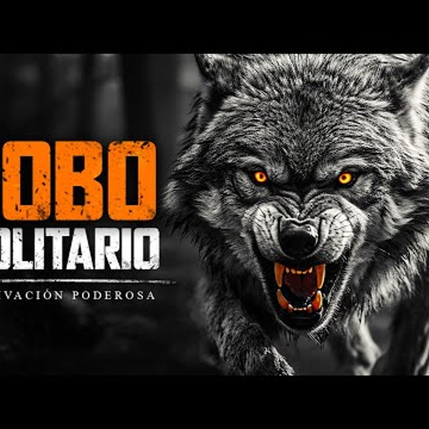 52. LOBO SOLITARIO - Discurso Motivacional Para Quienes Caminan Solos (Marcus Elevation Taylor)