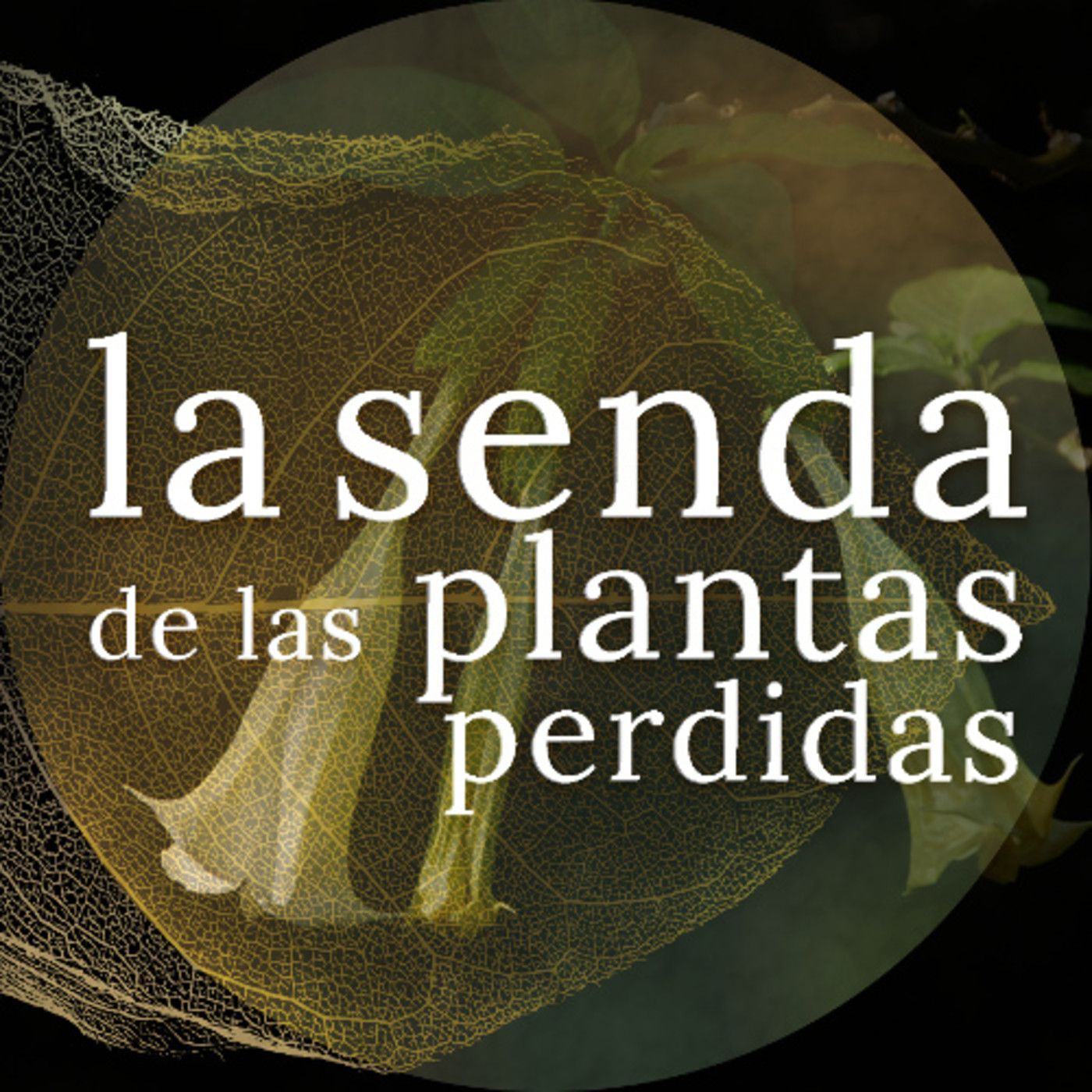 La Senda de las Plantas Perdidas