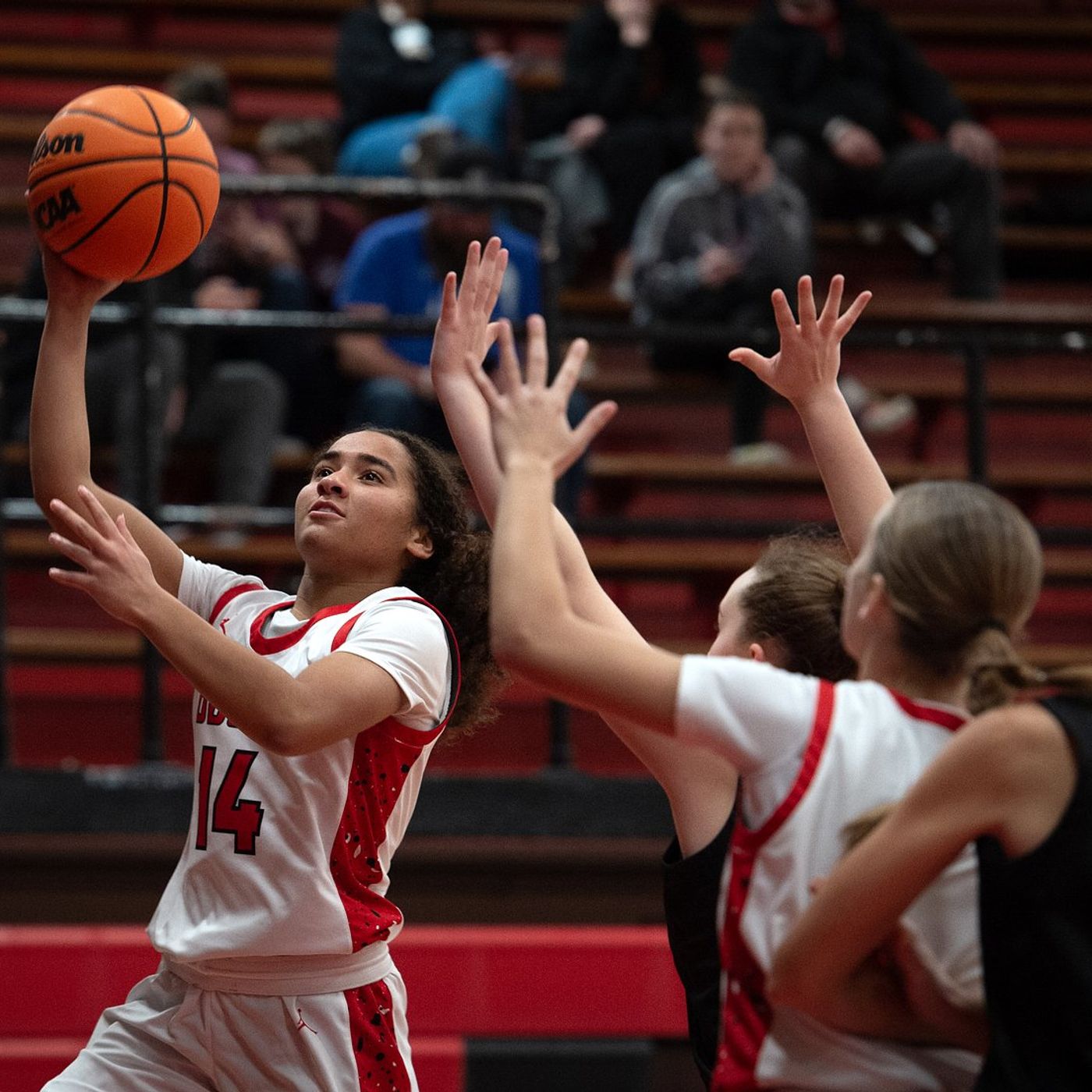 Bradley-Bourbonnais takes home conference loss to sharpshooting Sandburg episode artwork