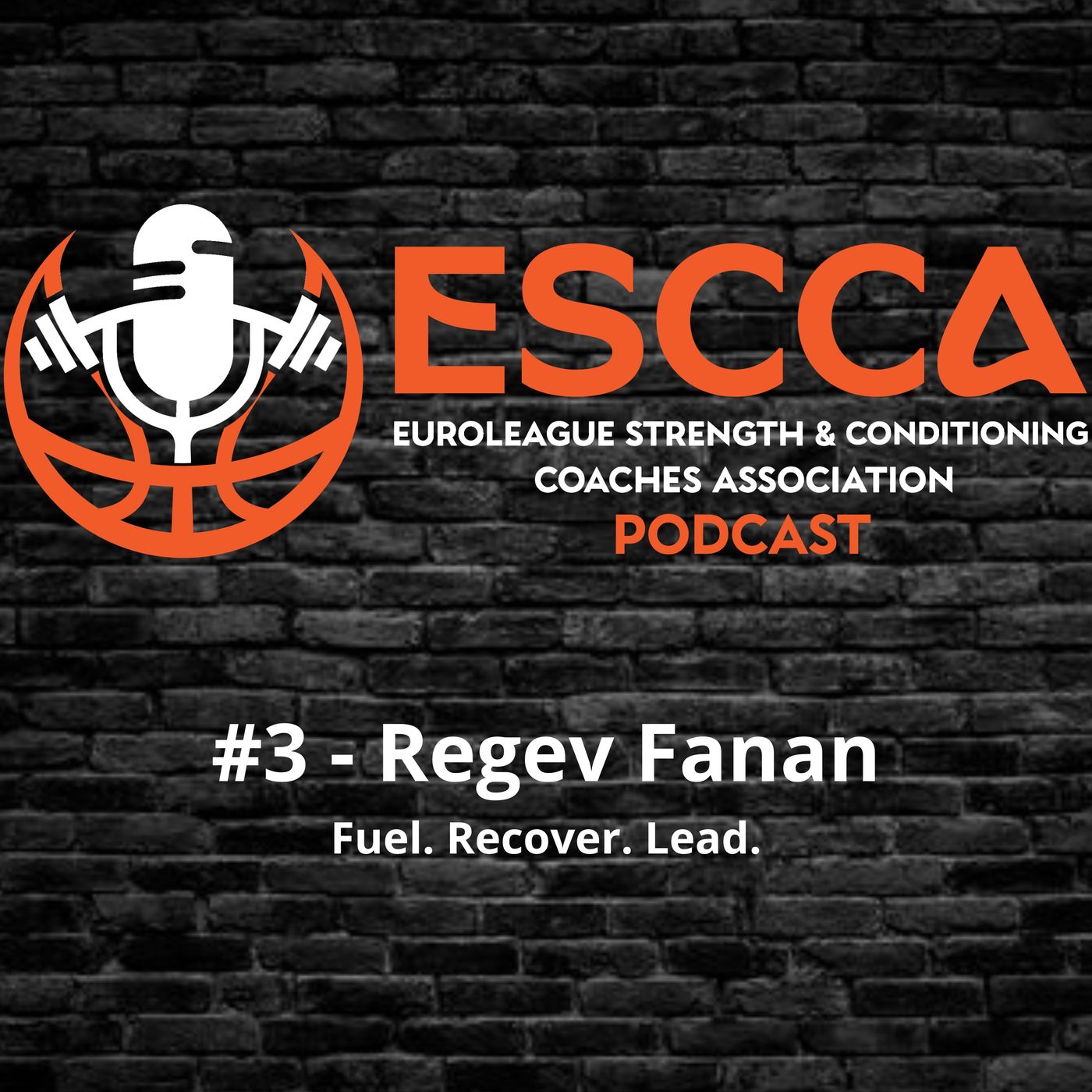 #3 - Regev Fanan - Fuel. Recover. Lead.