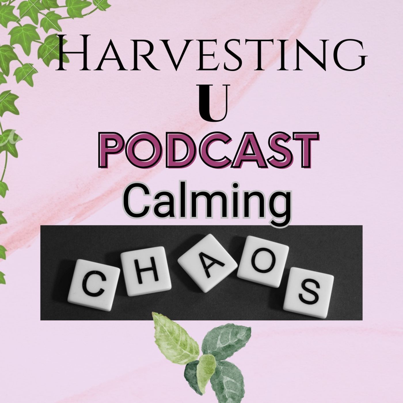 Calming the Chaos episode artwork