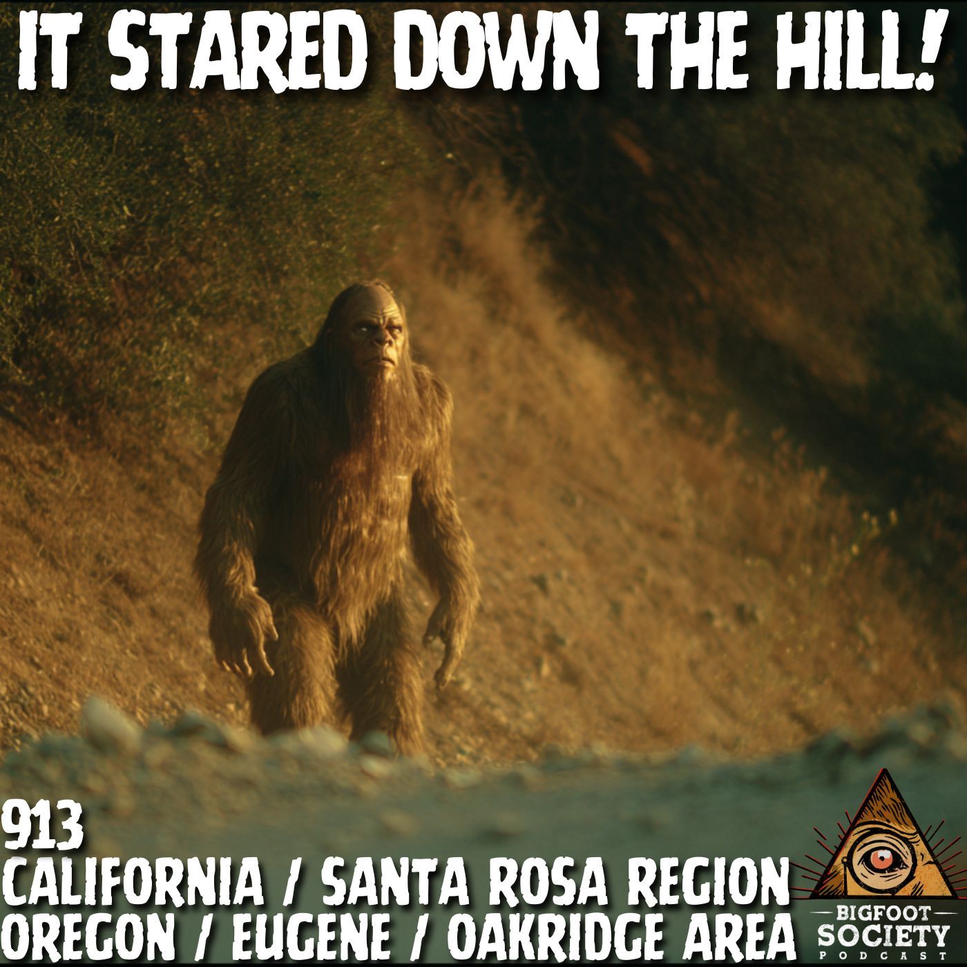 They Followed Me to Washington | California