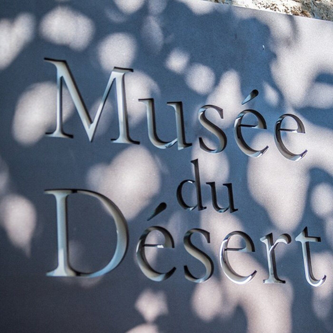 Informations locales : Les animations estivales au Musée du Désert