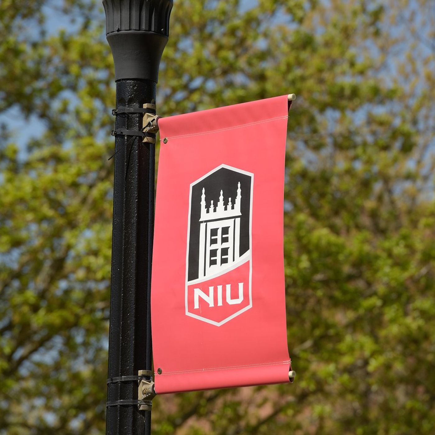NIU performances of ‘Julius Caesar’ begin Oct. 10 in DeKalb episode artwork